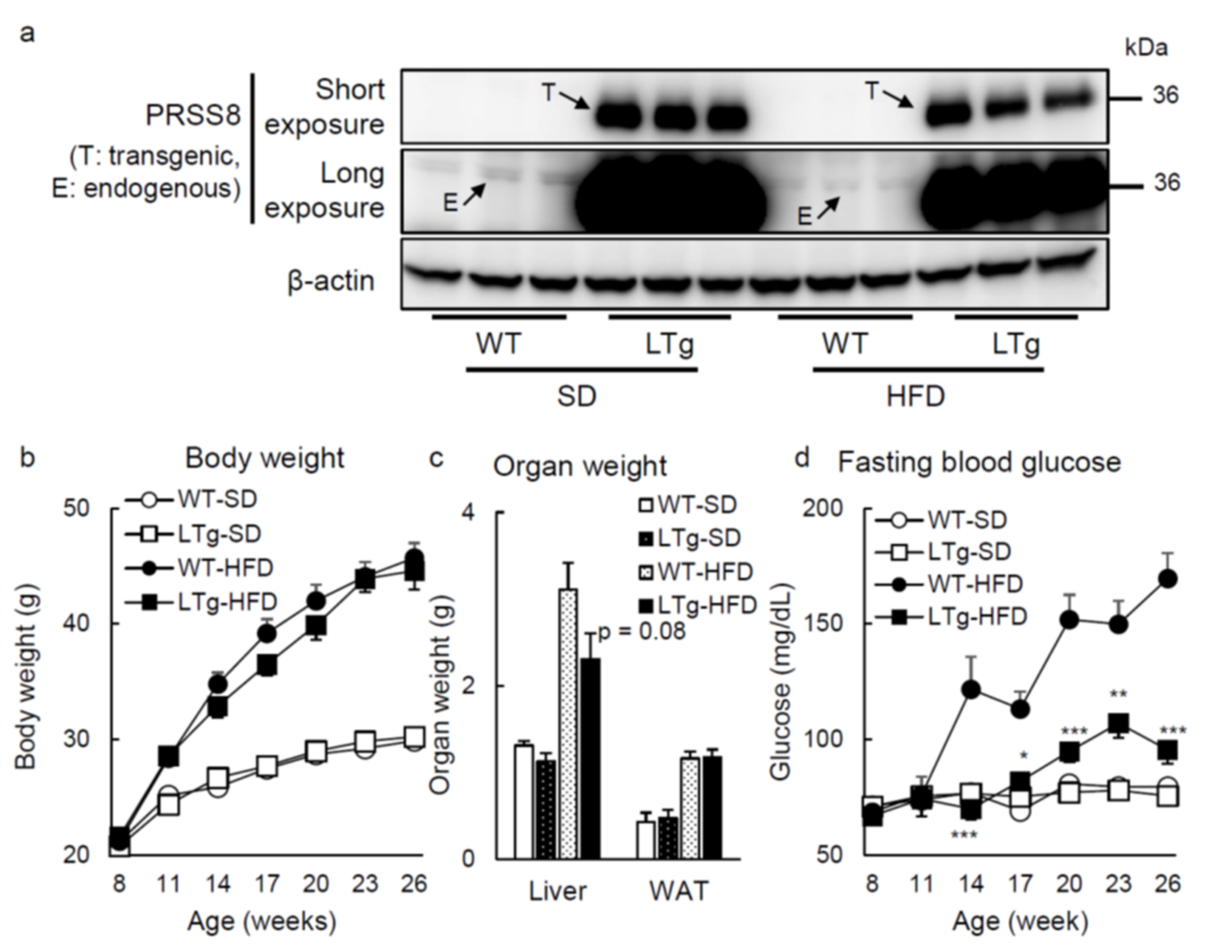 Ijms 22 08314 g001 Ijms 22 08314 g001