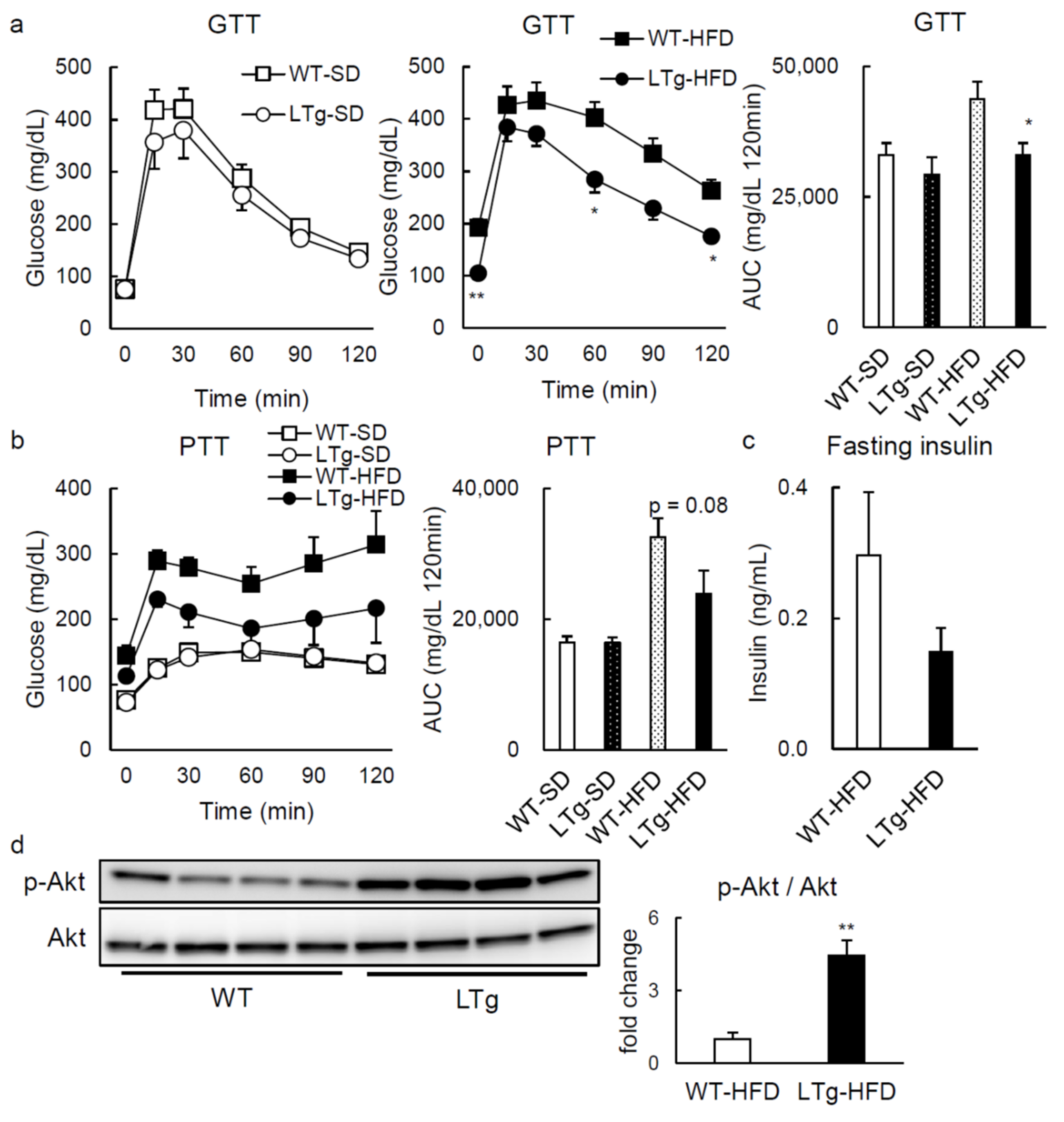 Ijms 22 08314 g002 Ijms 22 08314 g002