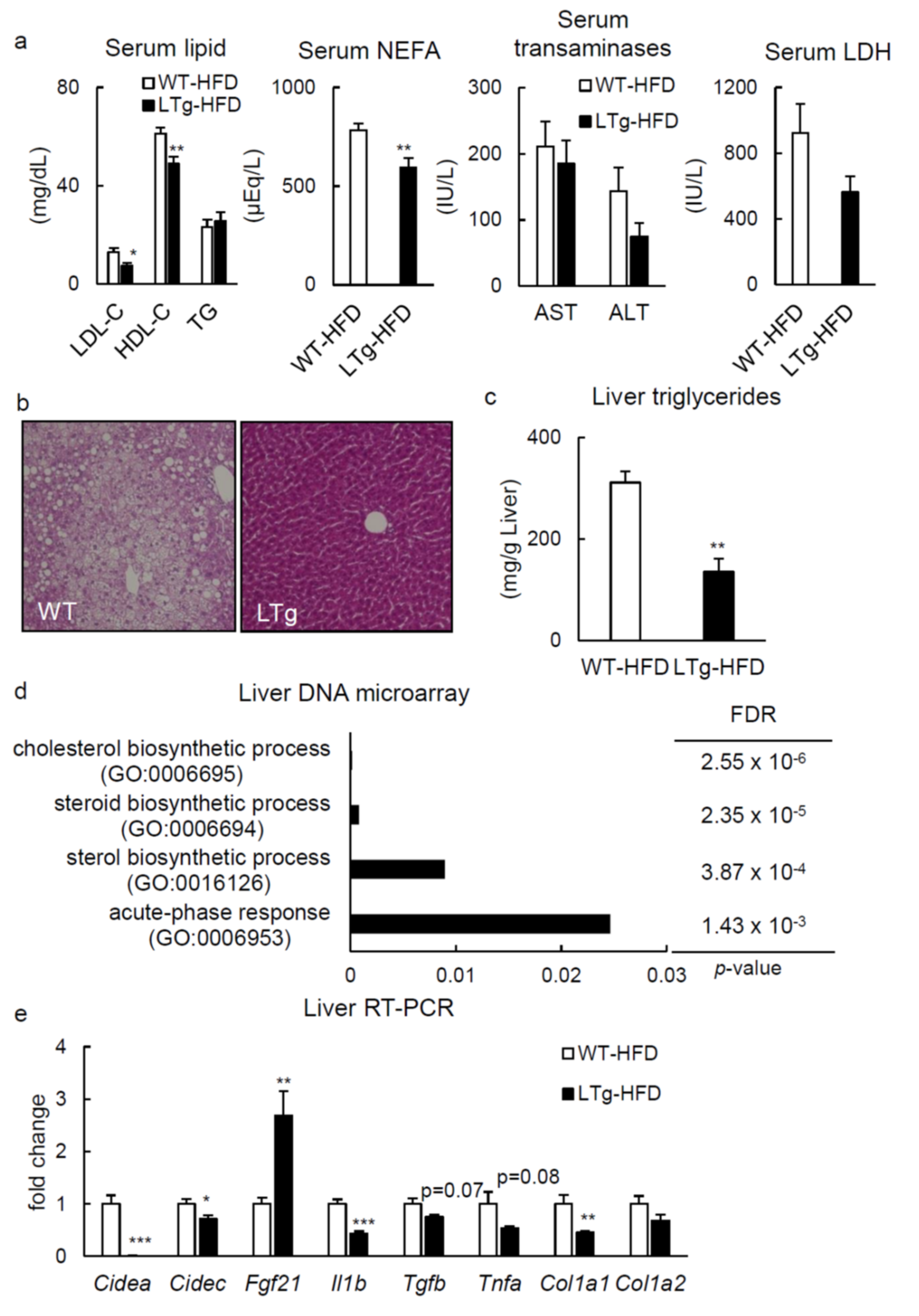 Ijms 22 08314 g003 Ijms 22 08314 g003