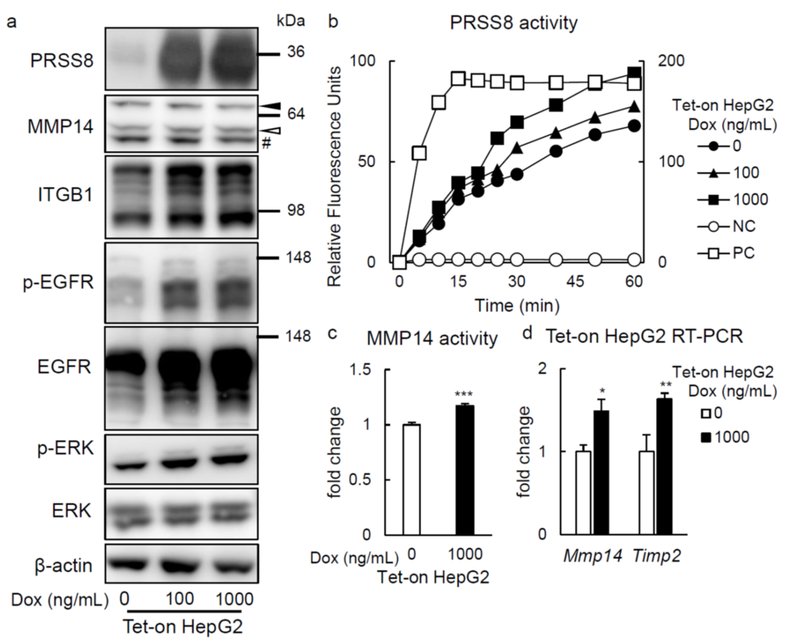Ijms 22 08314 g004 Ijms 22 08314 g004