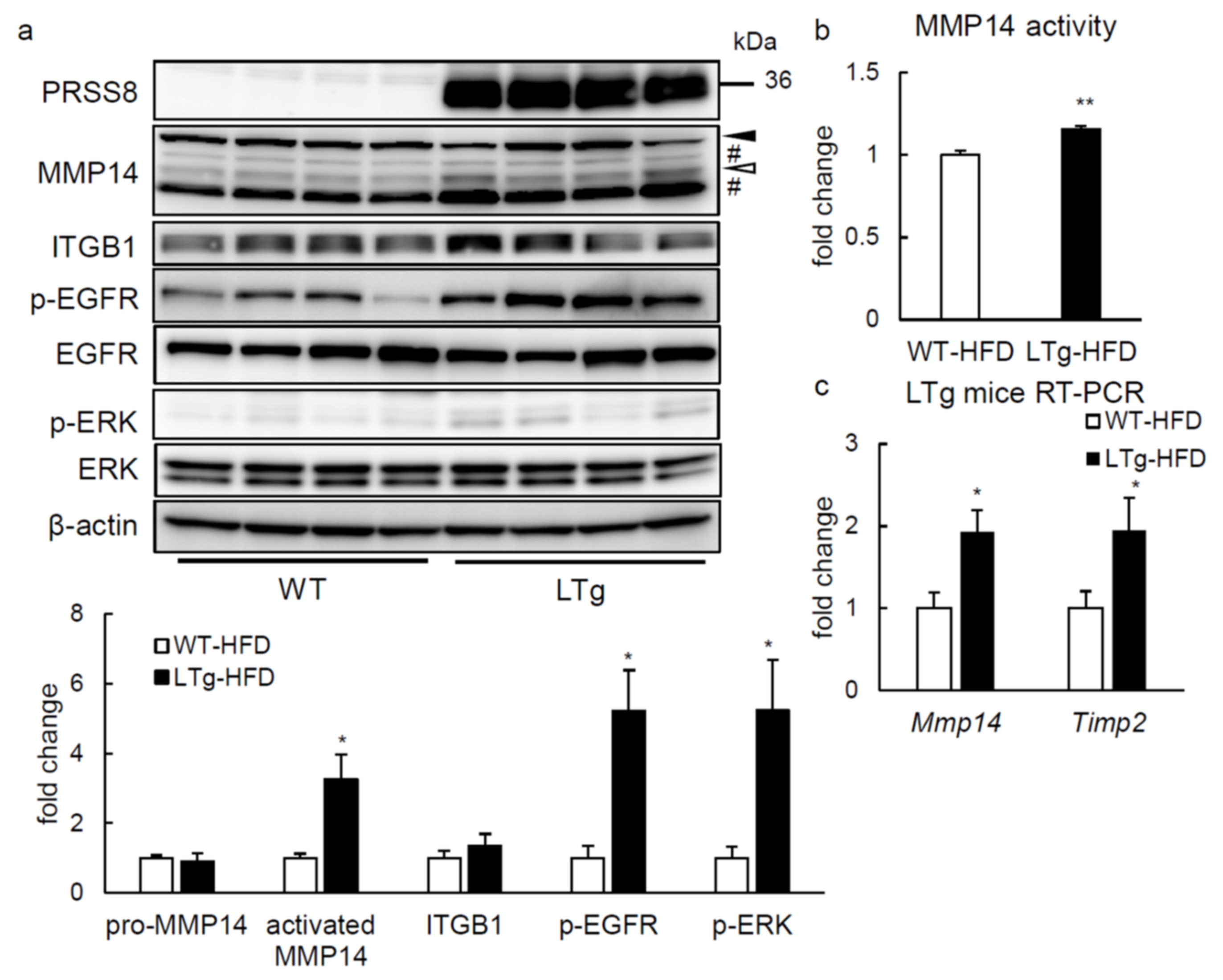 Ijms 22 08314 g005 Ijms 22 08314 g005