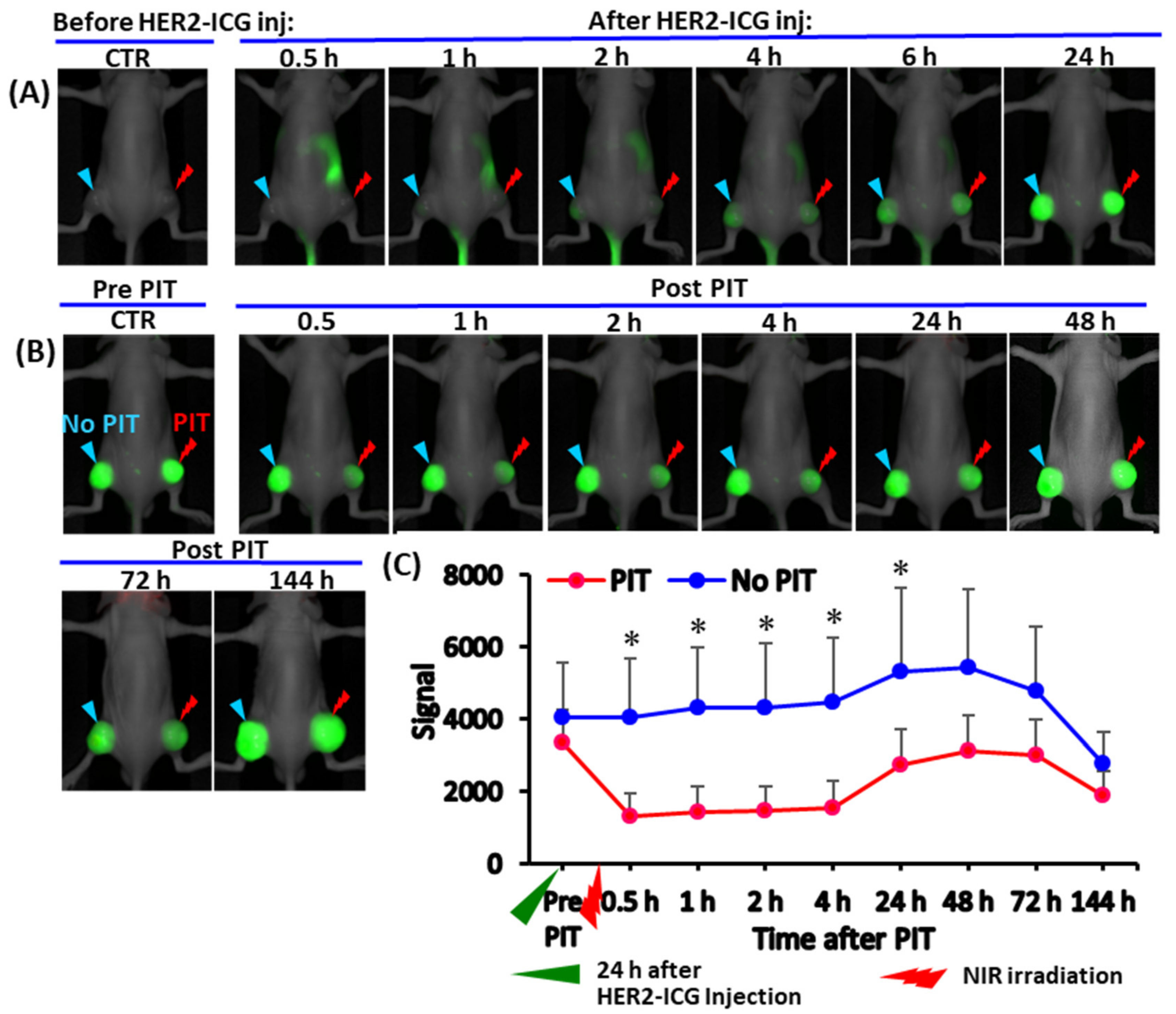 Ijms 22 08316 g002 550