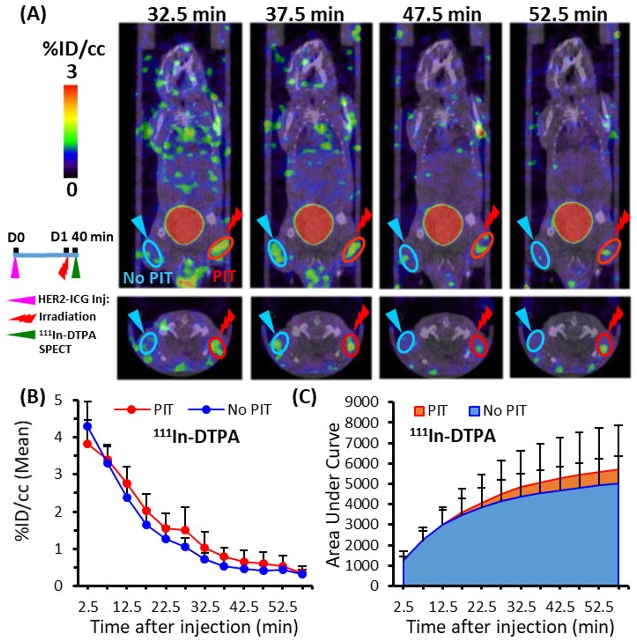 Ijms 22 08316 g005 550