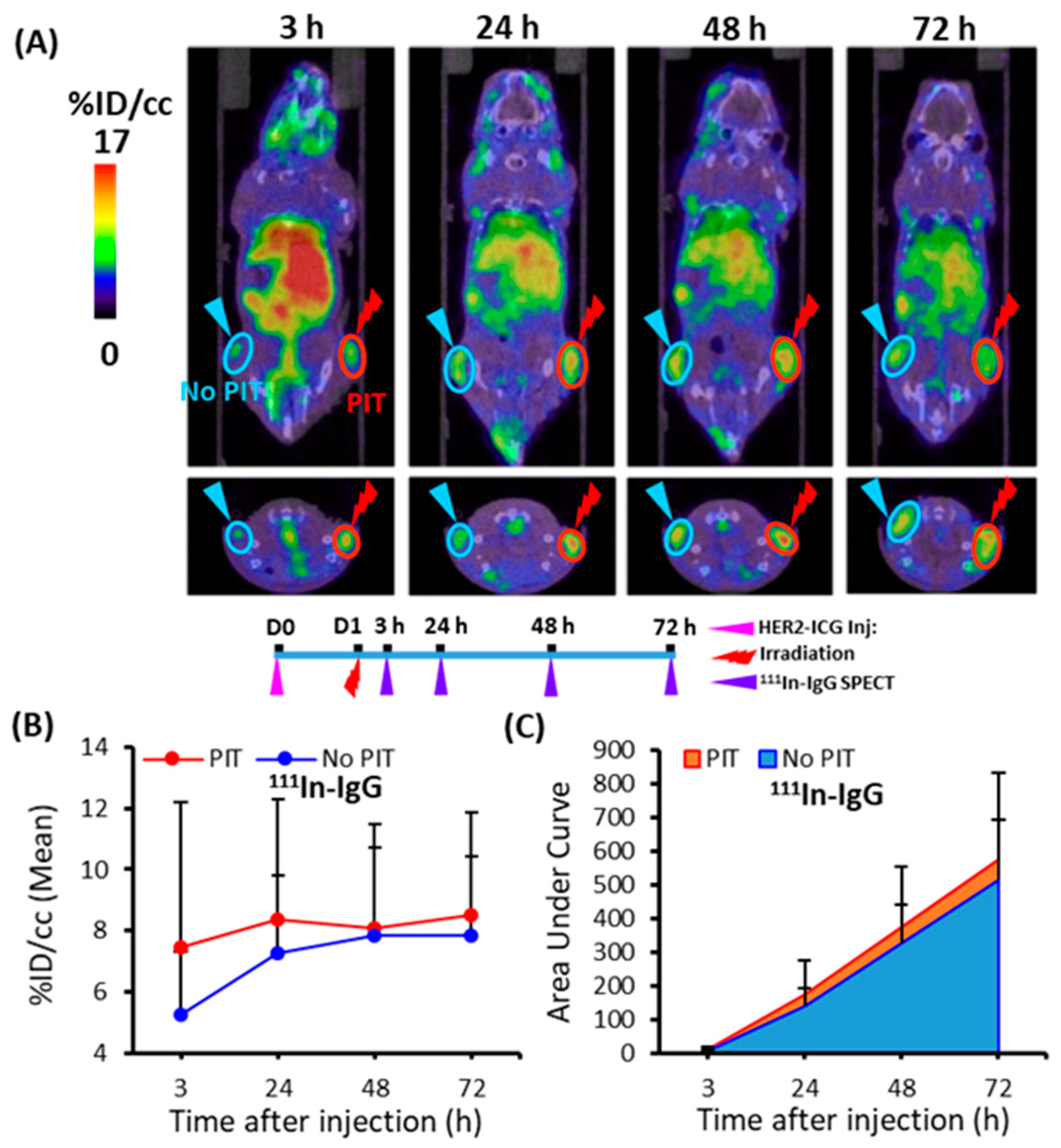 Ijms 22 08316 g007 550