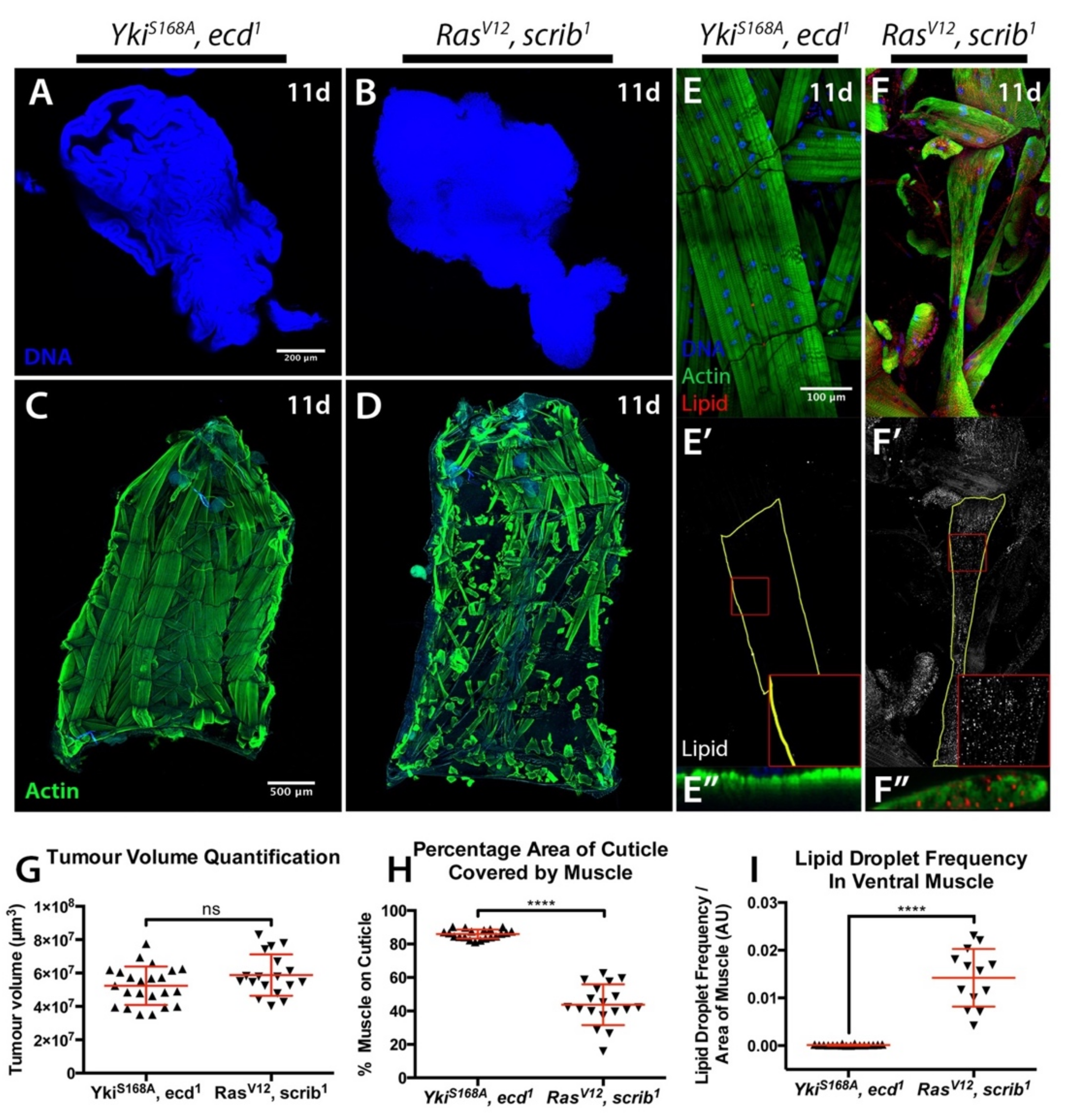 Ijms 22 08317 g002 550