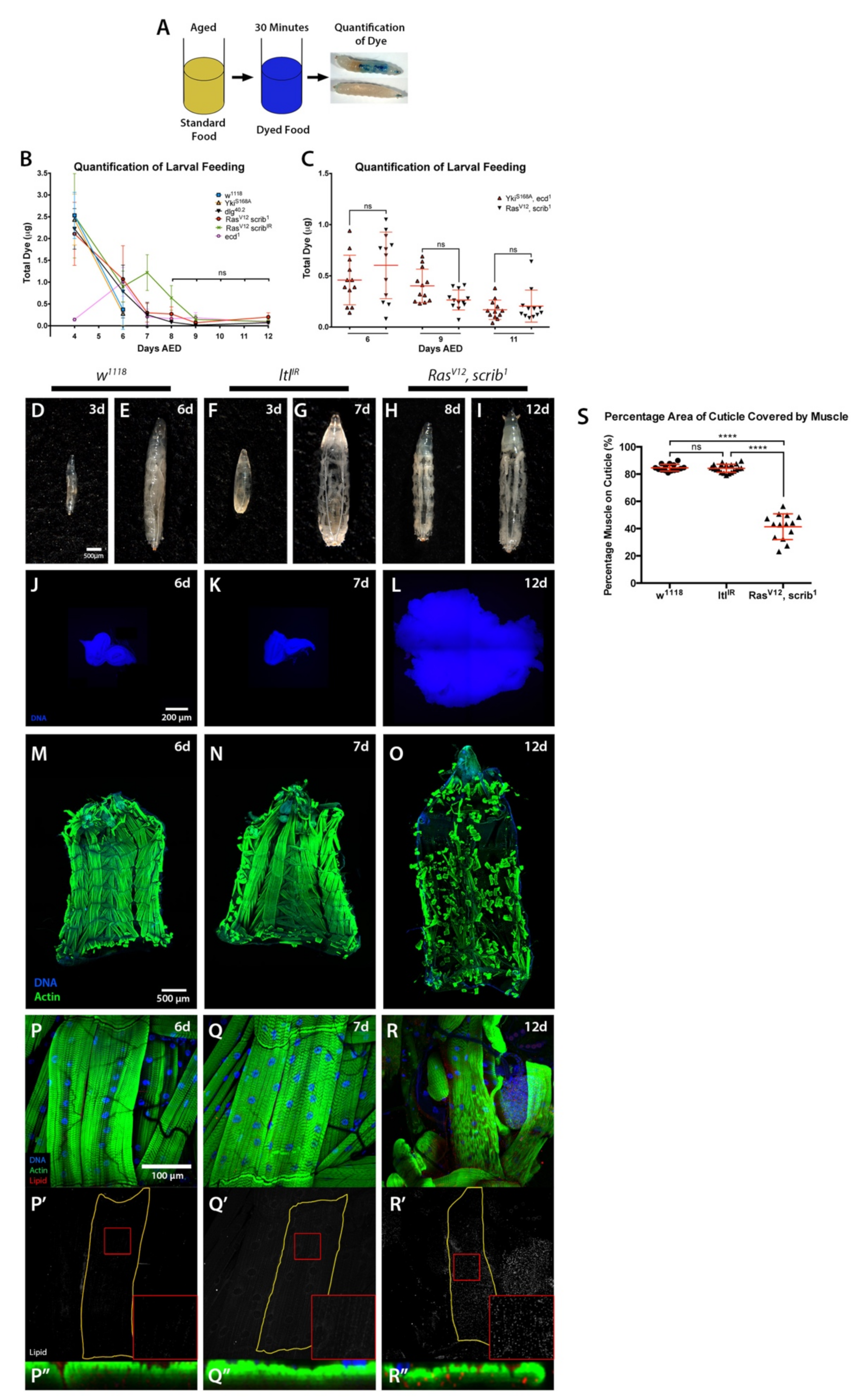 Ijms 22 08317 g003 550