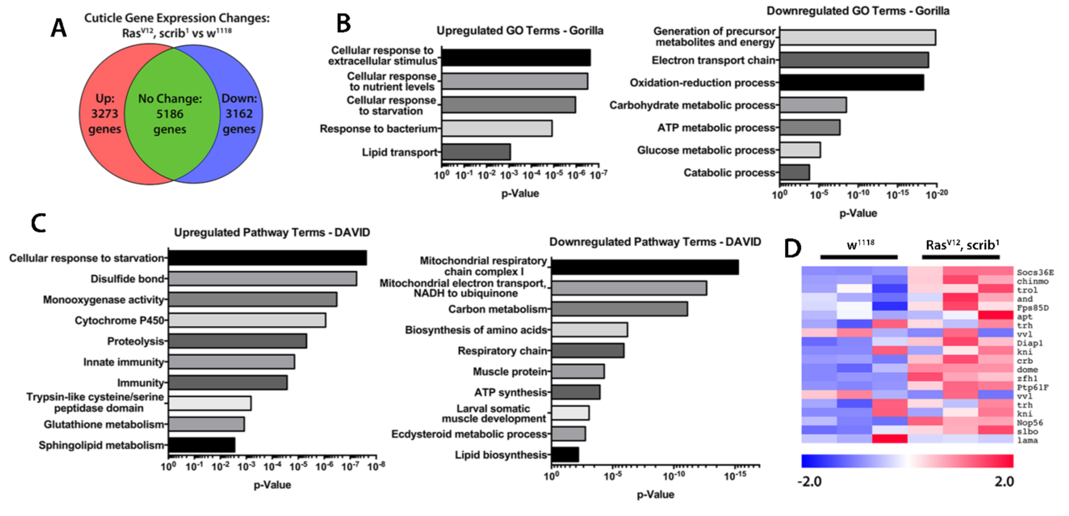 Ijms 22 08317 g004 550