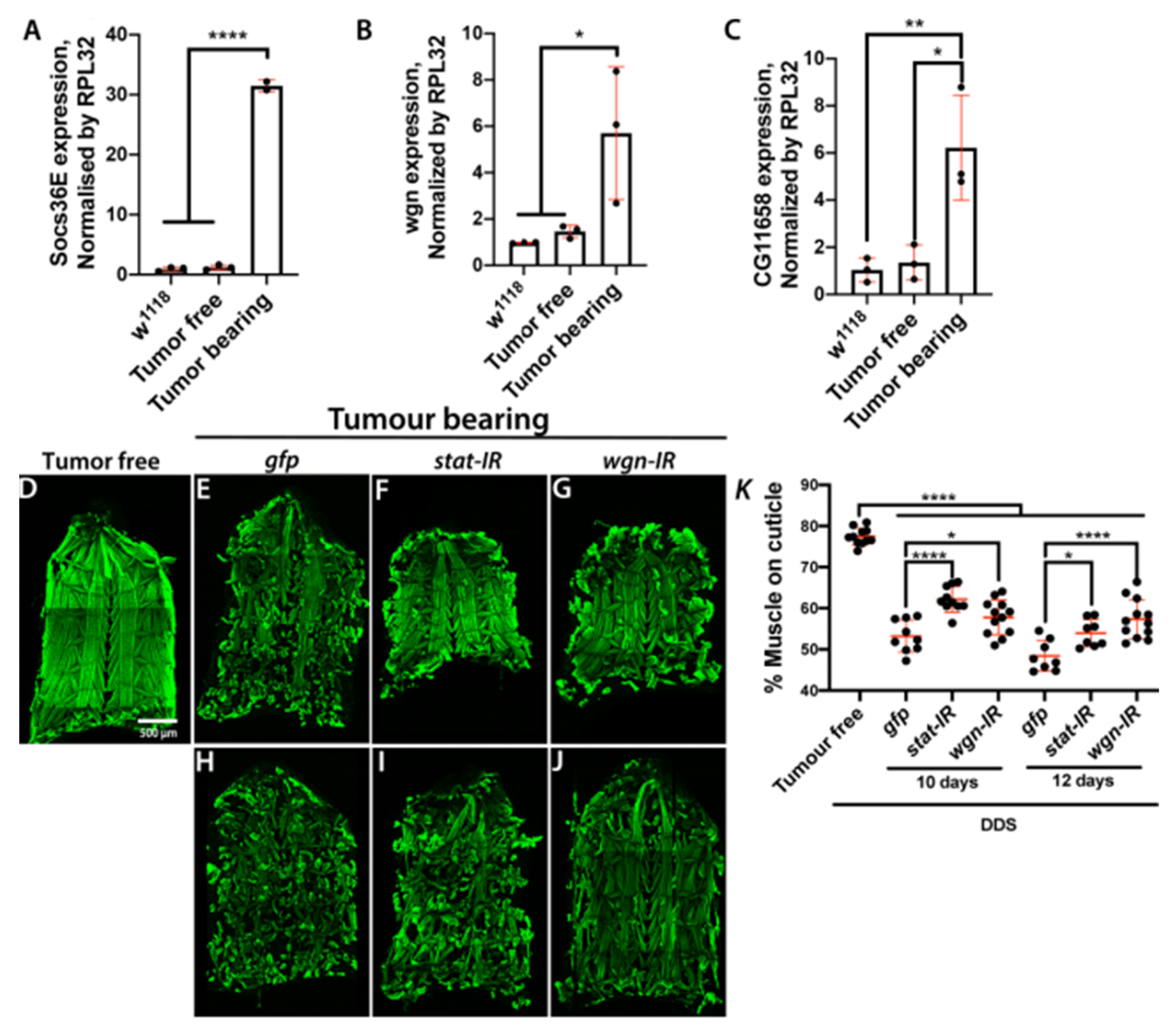 Ijms 22 08317 g006 550