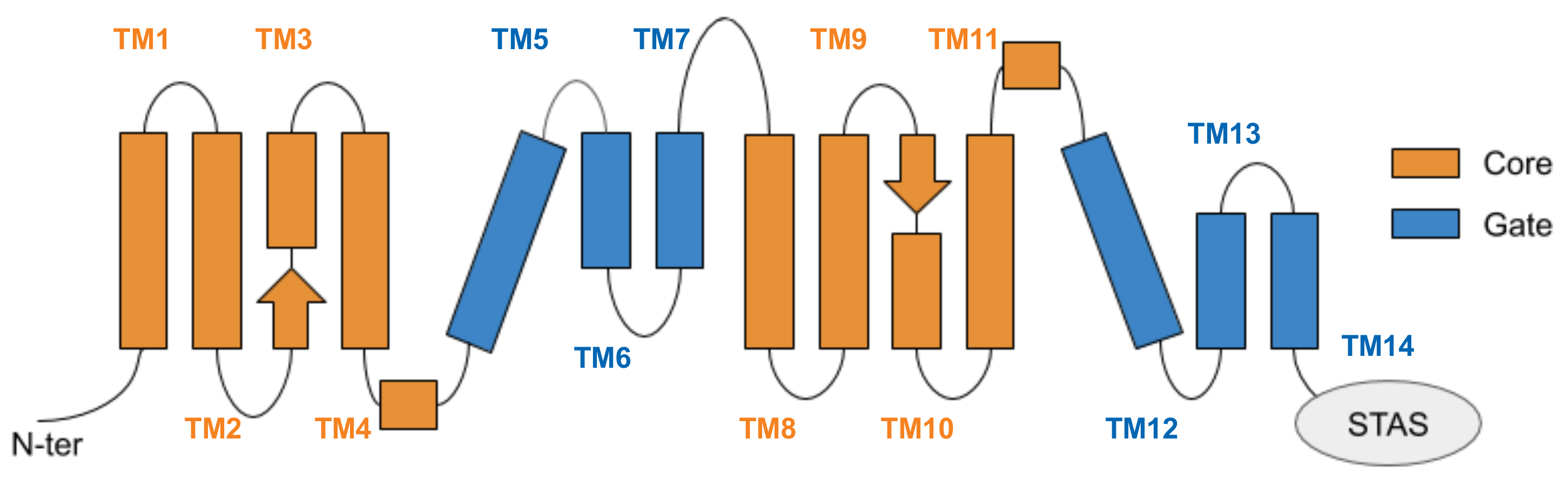 Ijms 22 08318 g004 550
