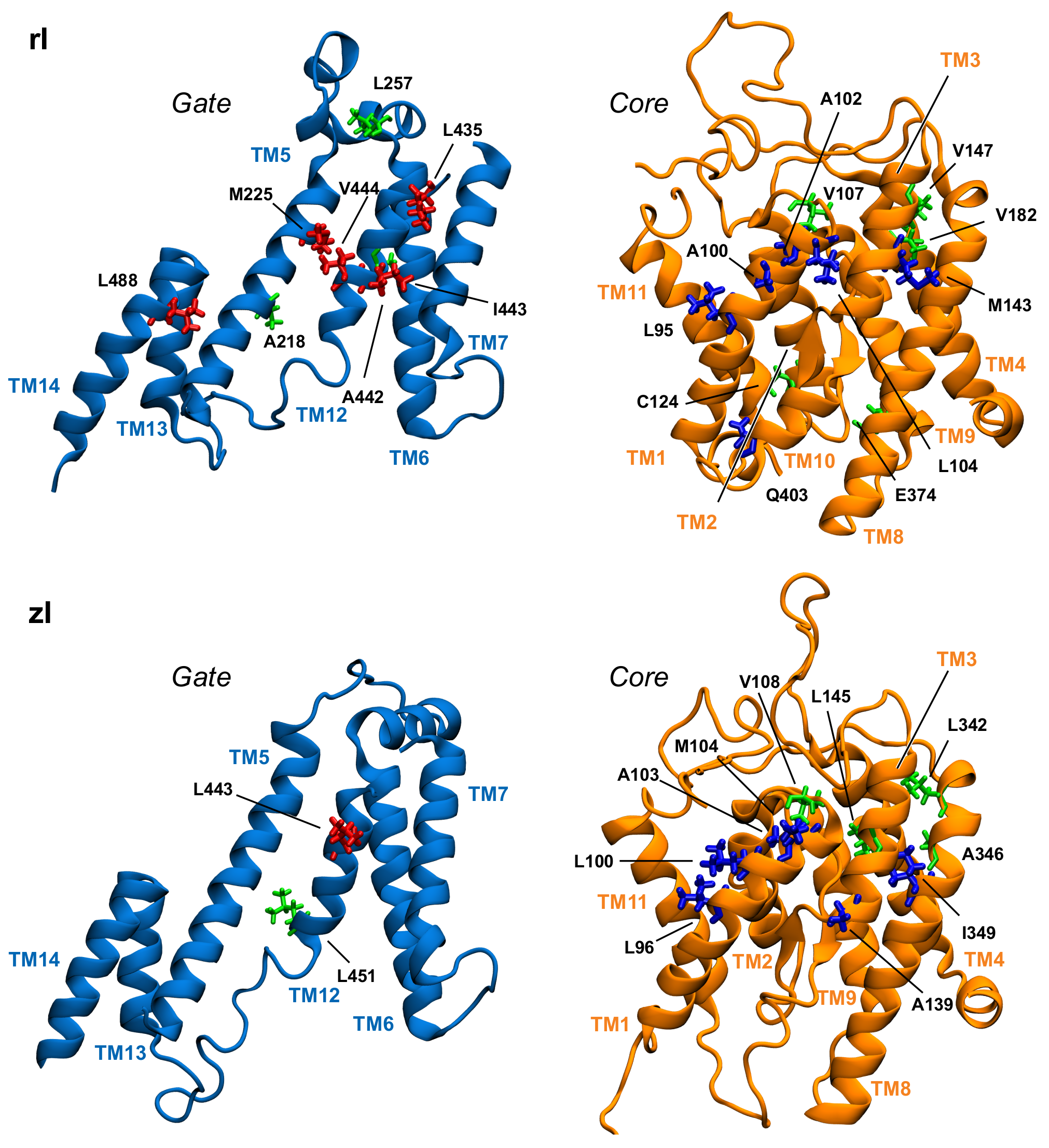 Ijms 22 08318 g006 550