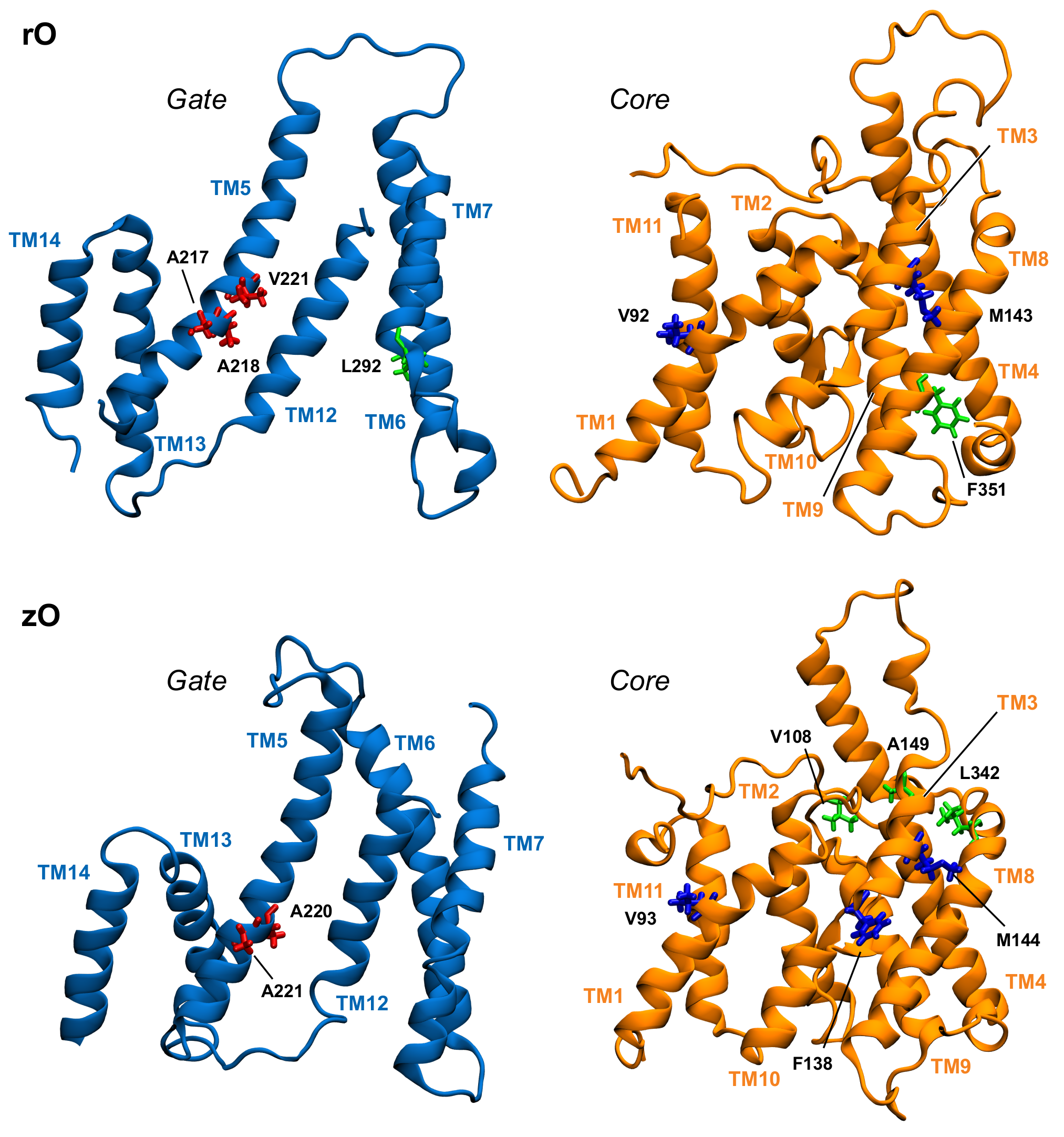 Ijms 22 08318 g007 550