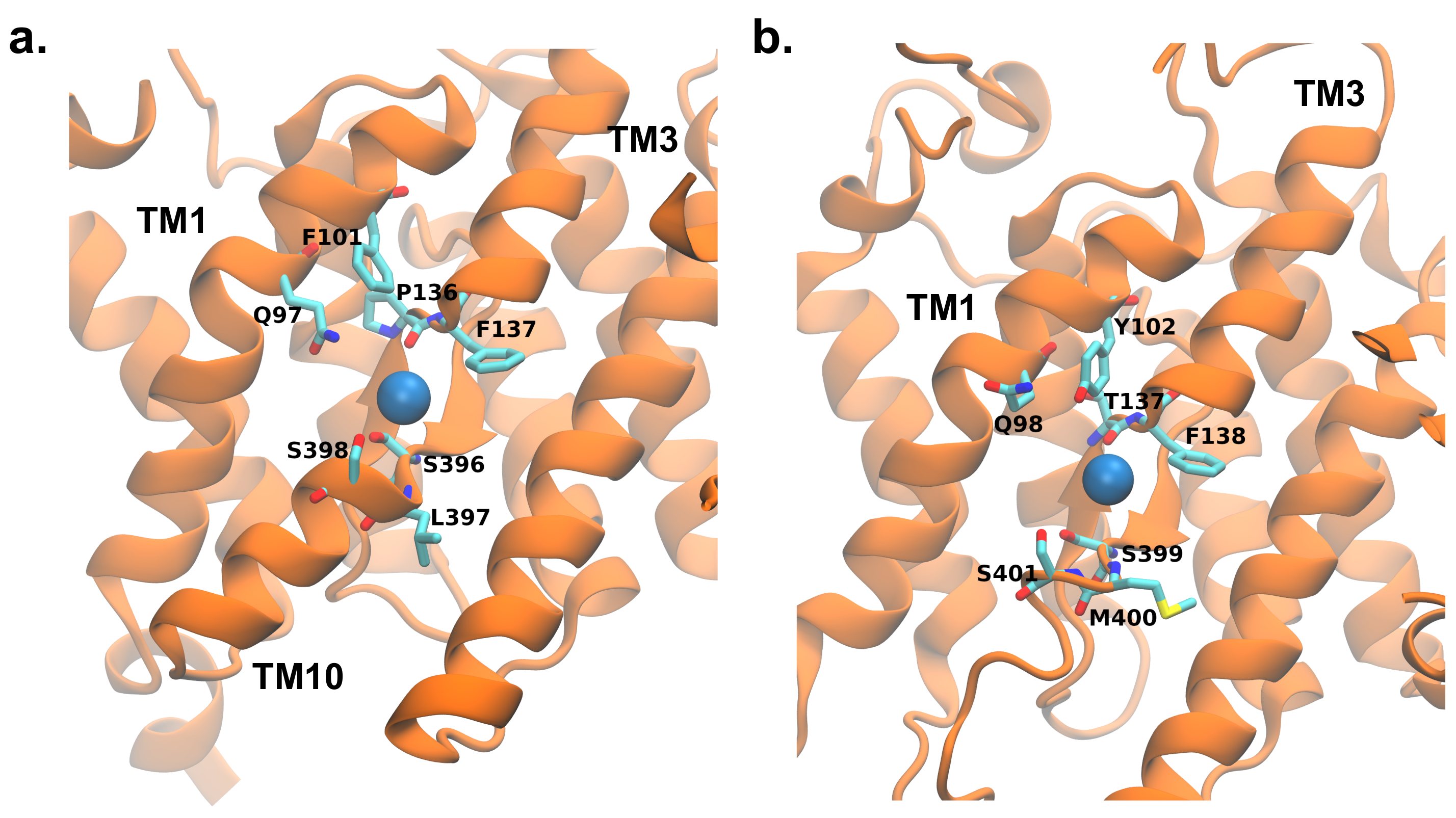 Ijms 22 08318 g009 550