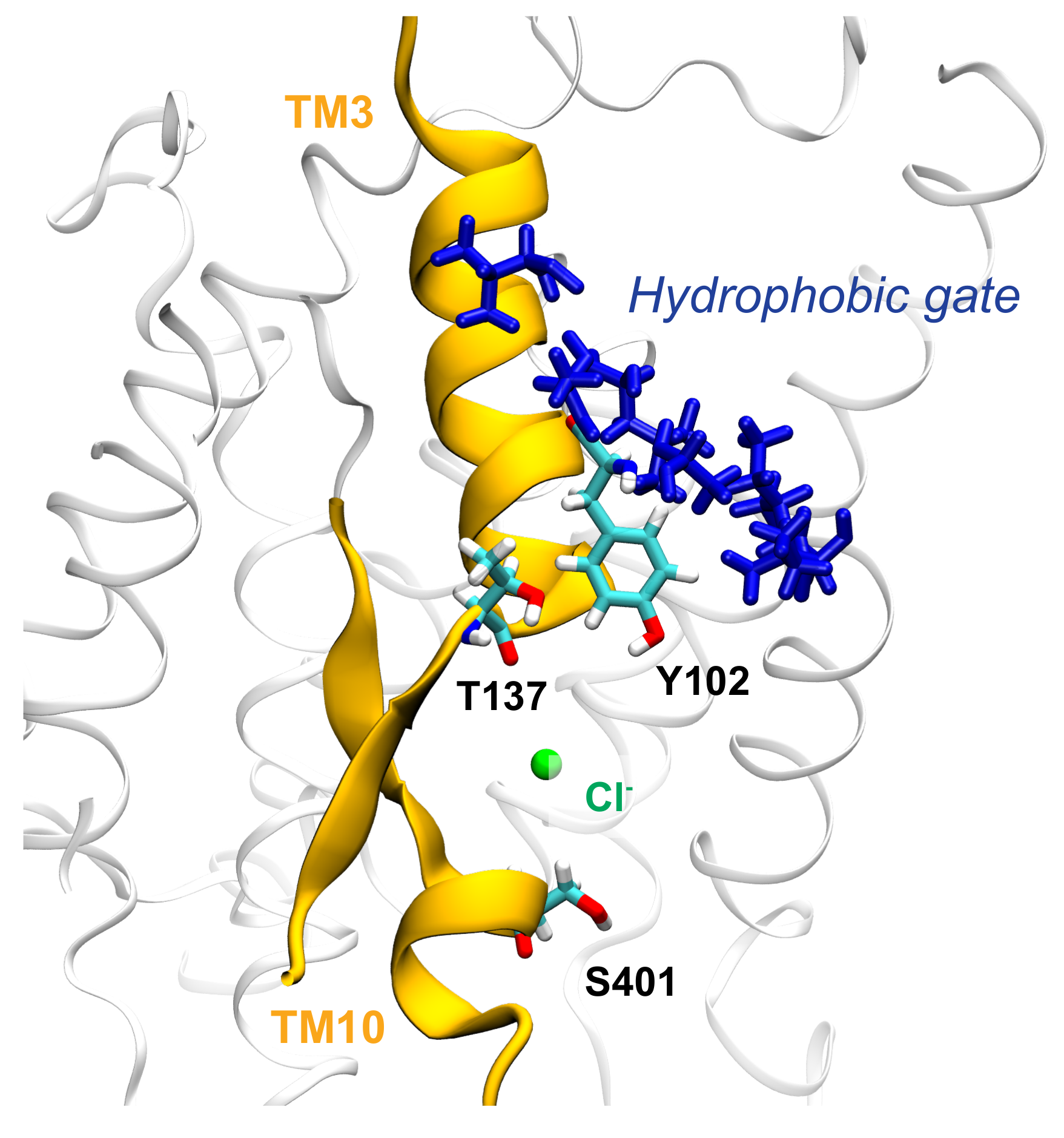 Ijms 22 08318 g010 550