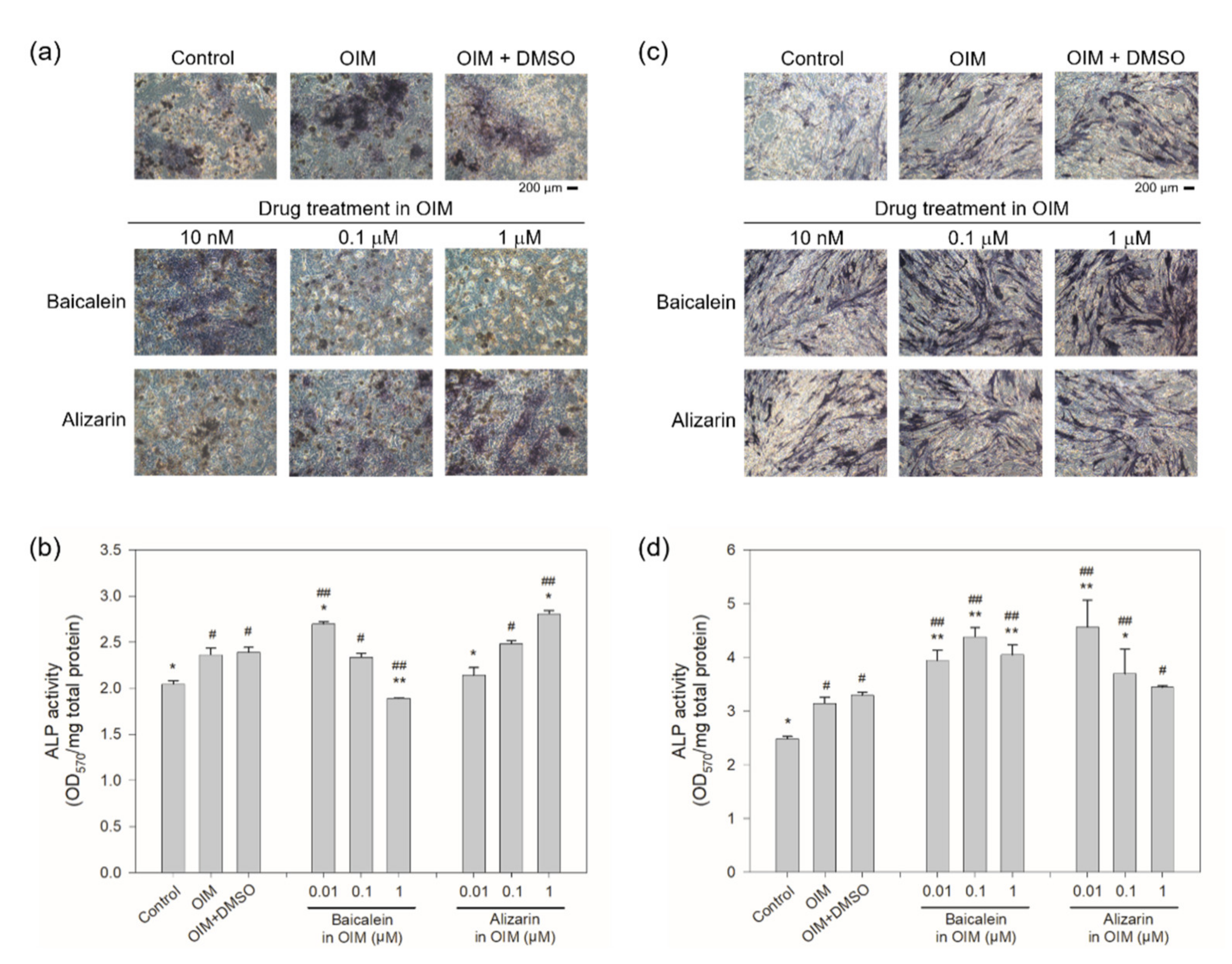 Ijms 22 08320 g008 550