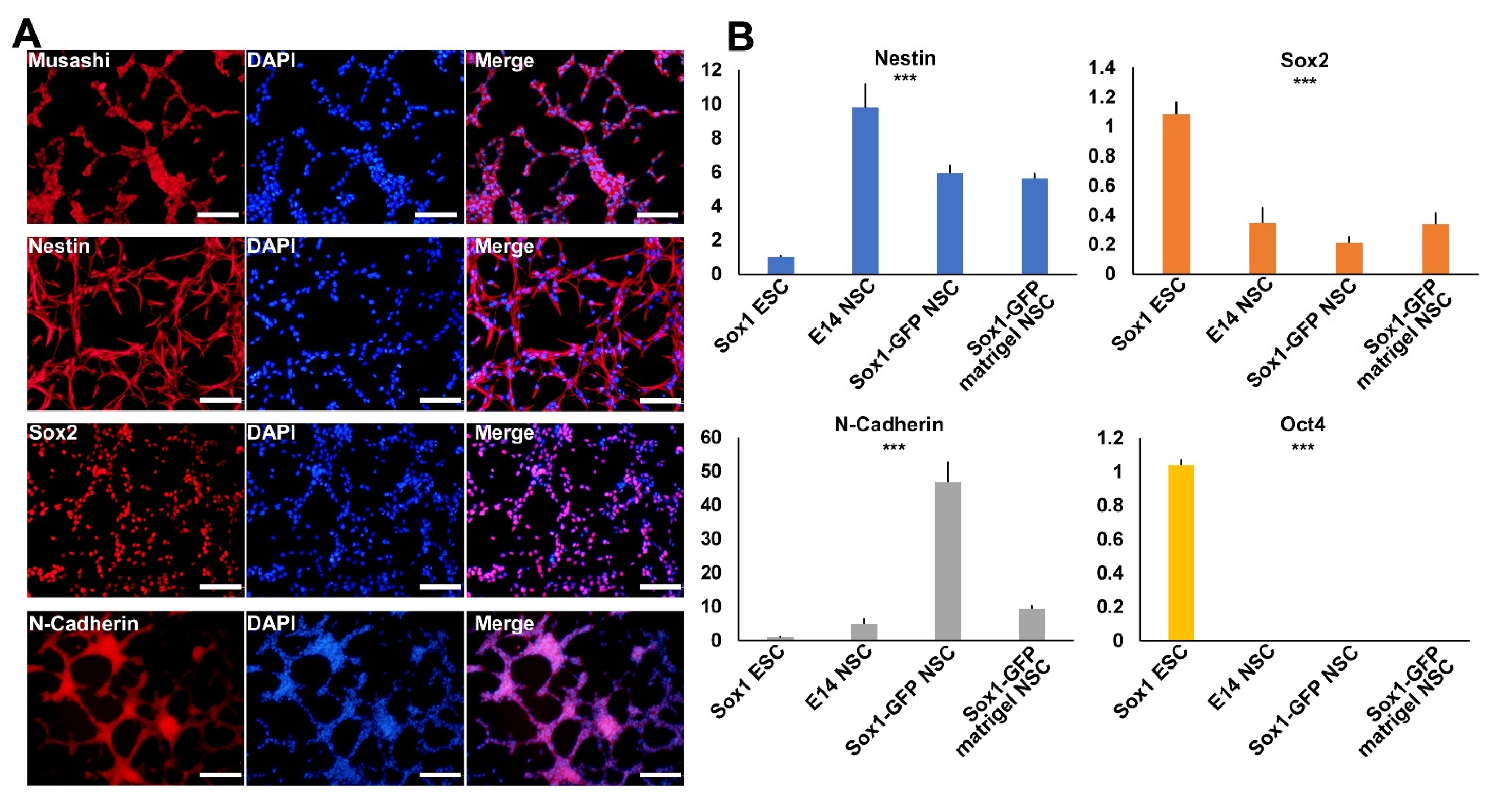 Ijms 22 08322 g003 550