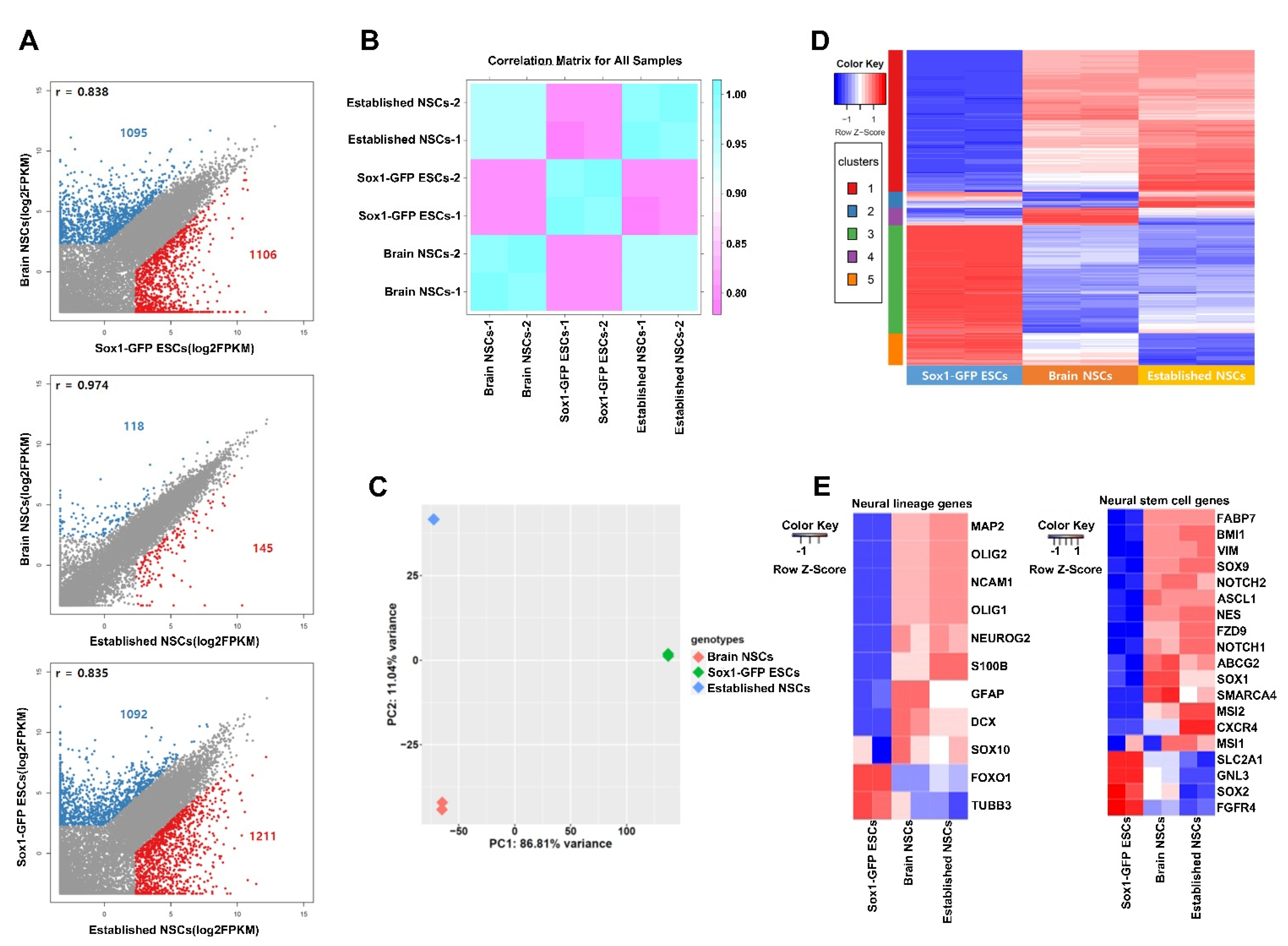 Ijms 22 08322 g004 550