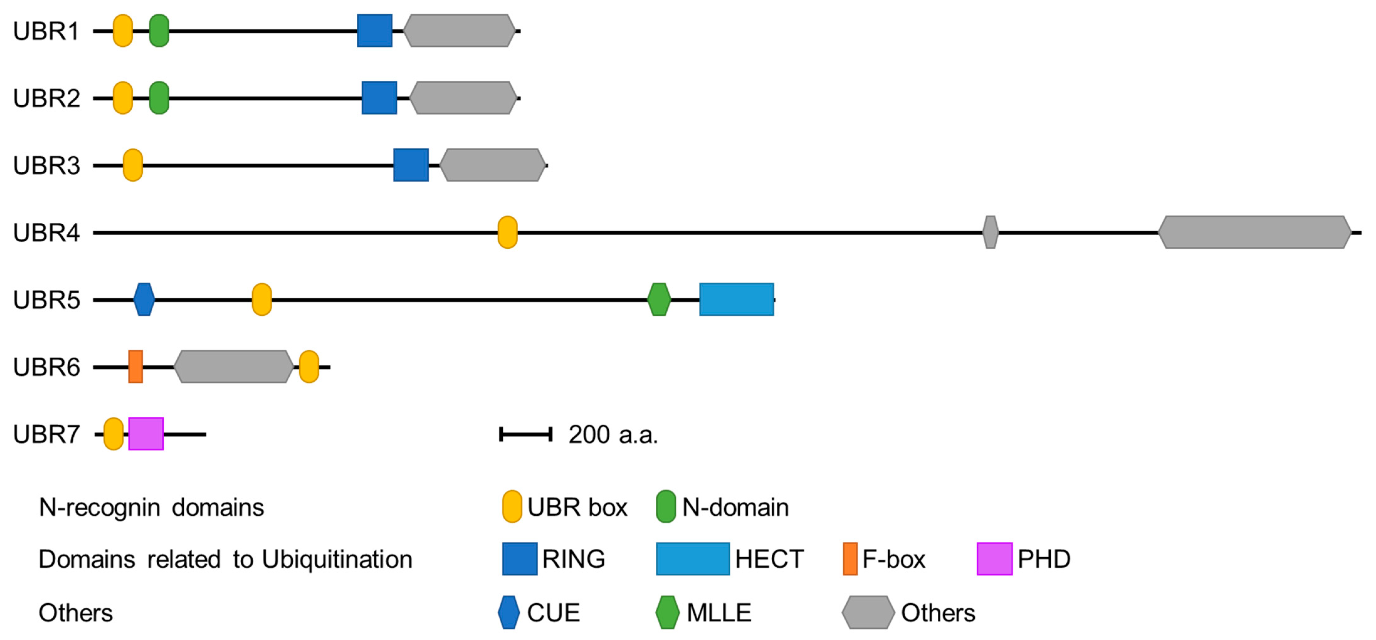 Ijms 22 08323 g002 550