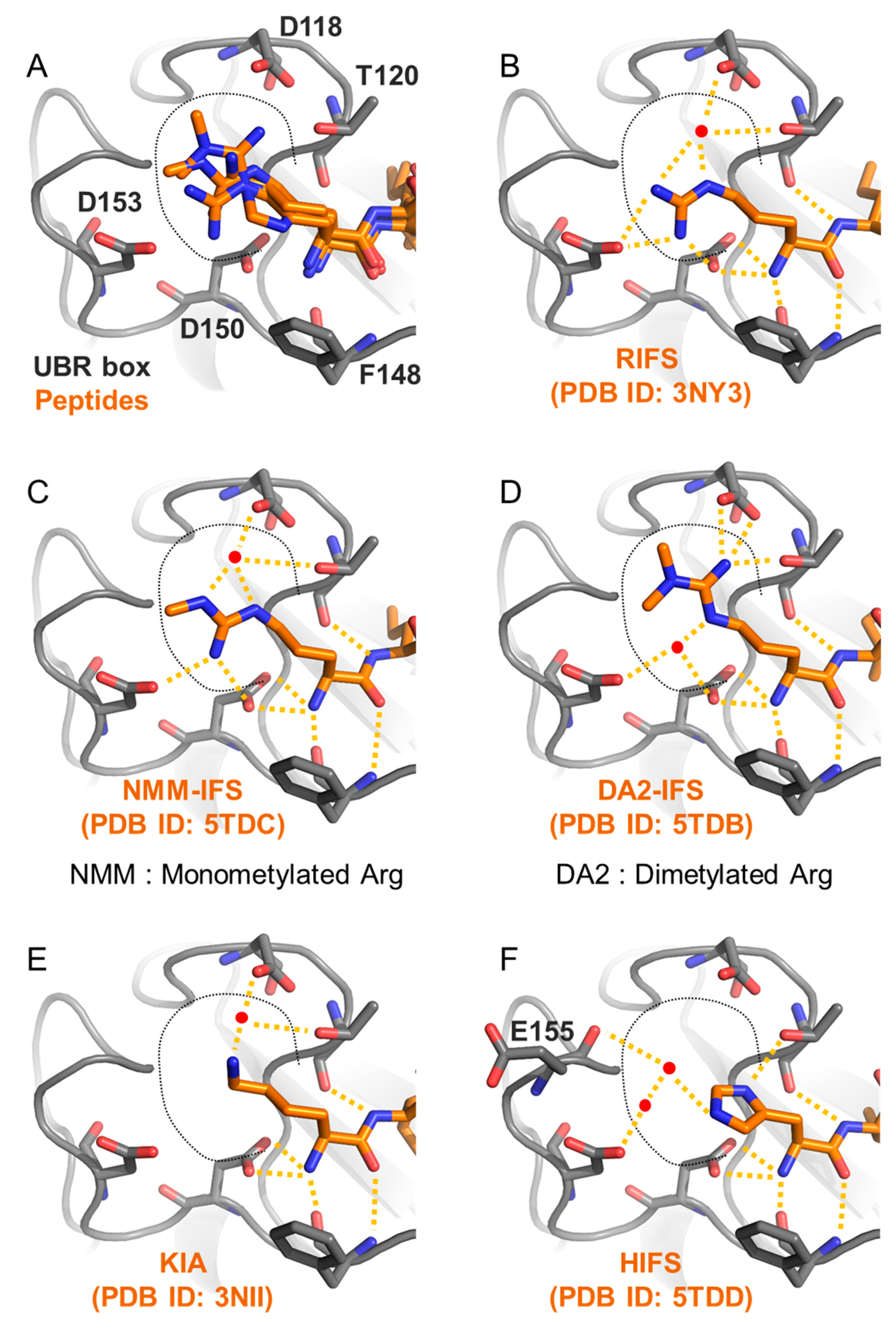Ijms 22 08323 g004 550