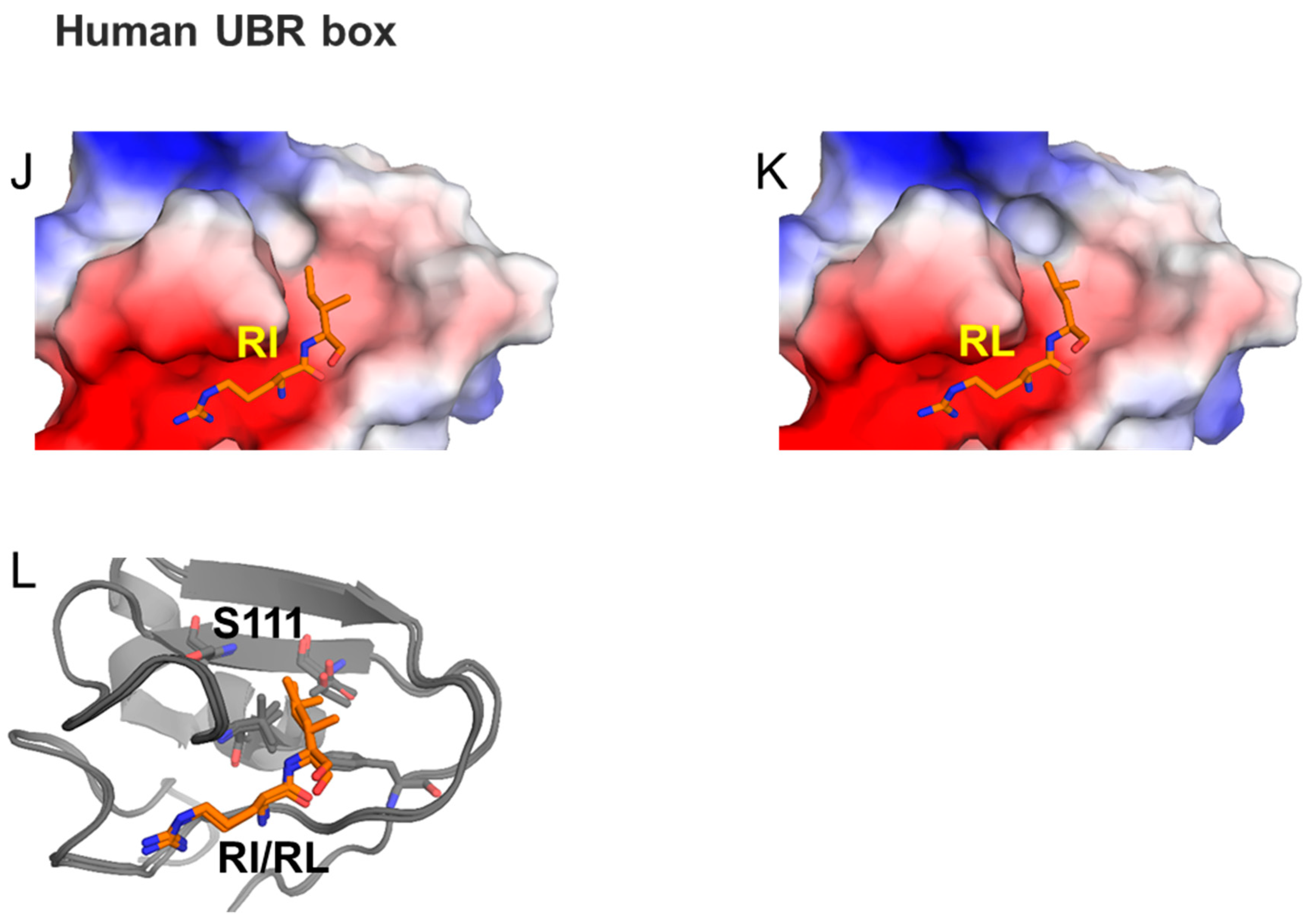 Ijms 22 08323 g005b 550