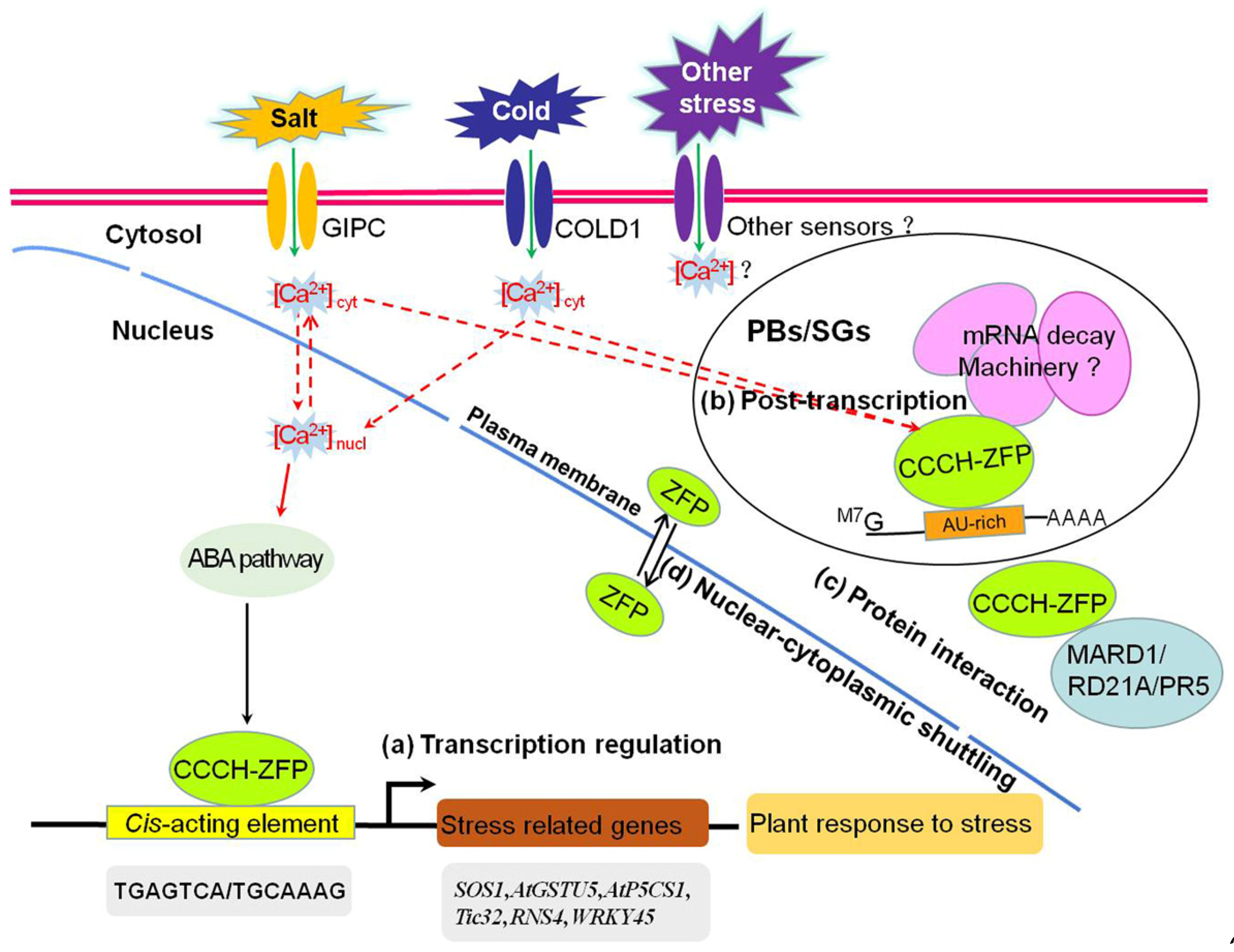Ijms 22 08327 g001 550