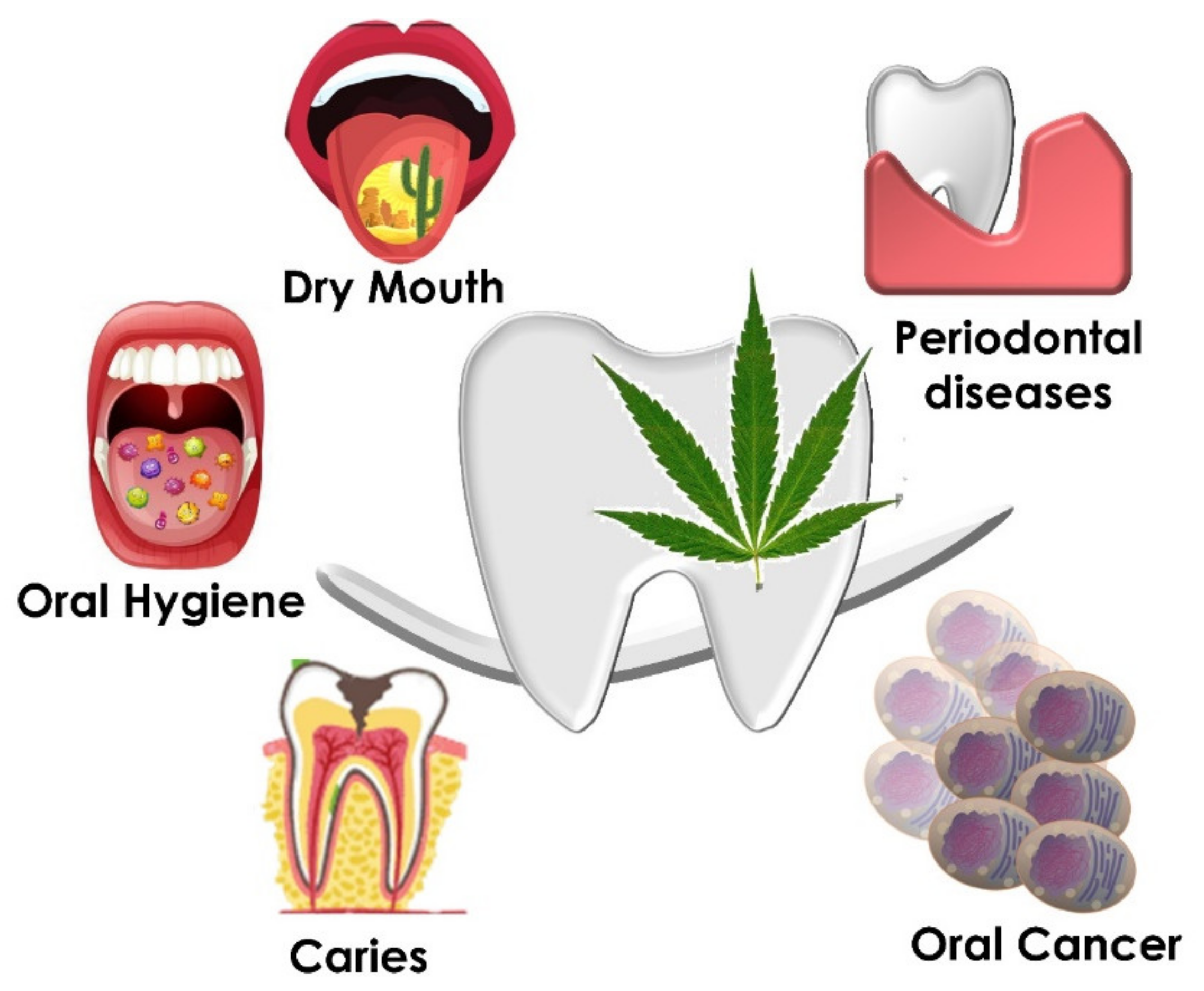 Ijms 22 08329 g005 550