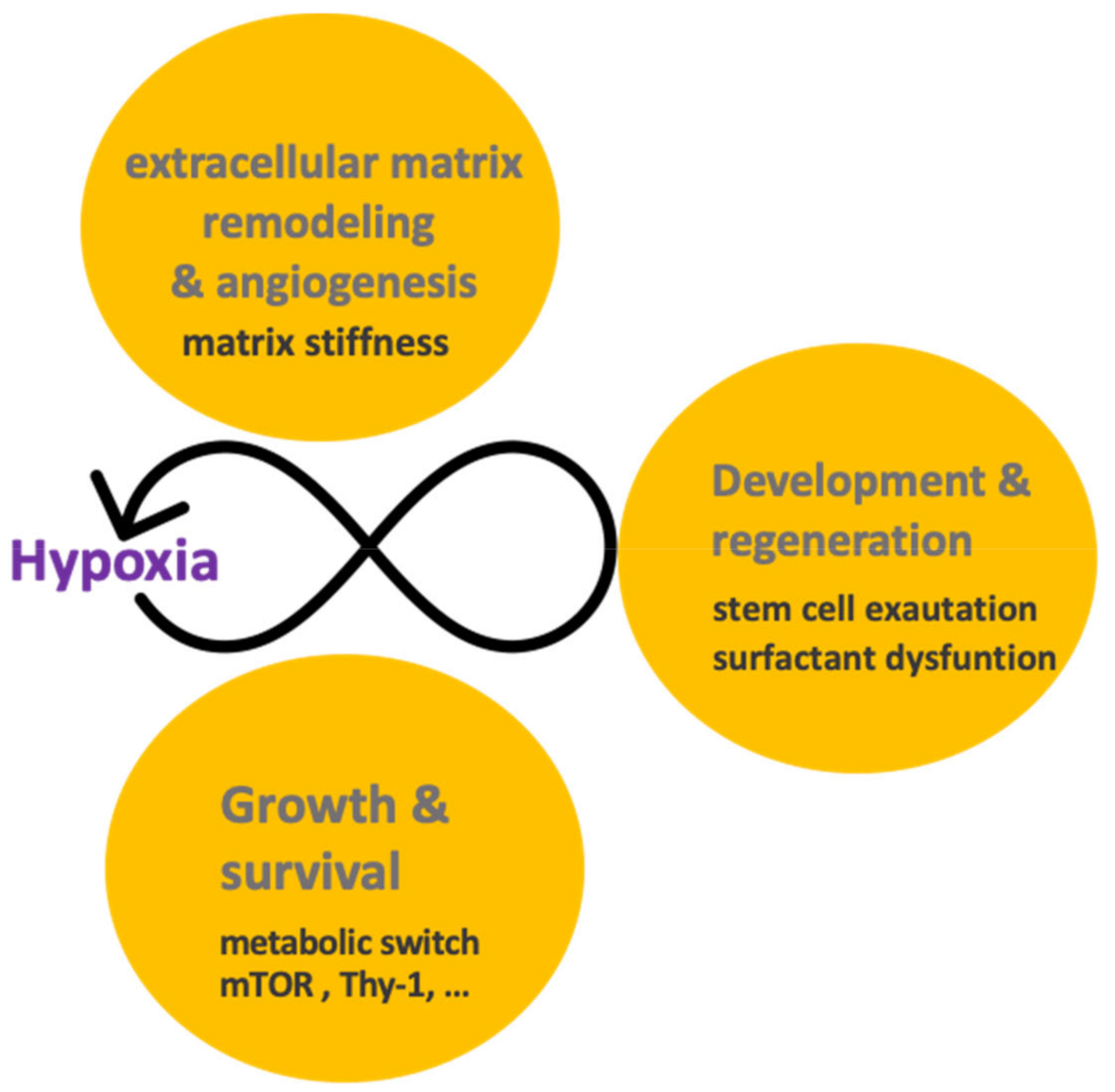 Ijms 22 08335 g003 Ijms 22 08335 g003