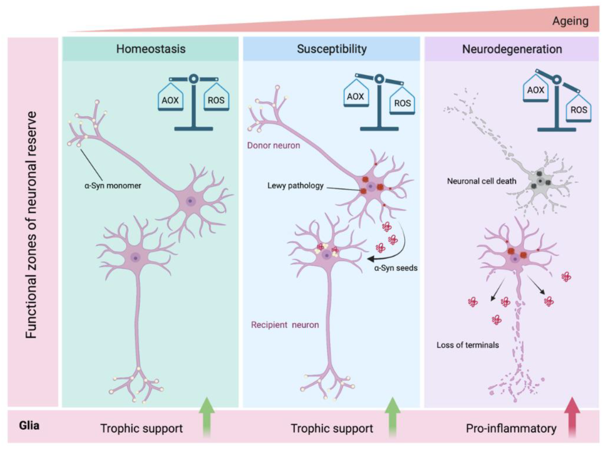 Ijms 22 08338 g002 550