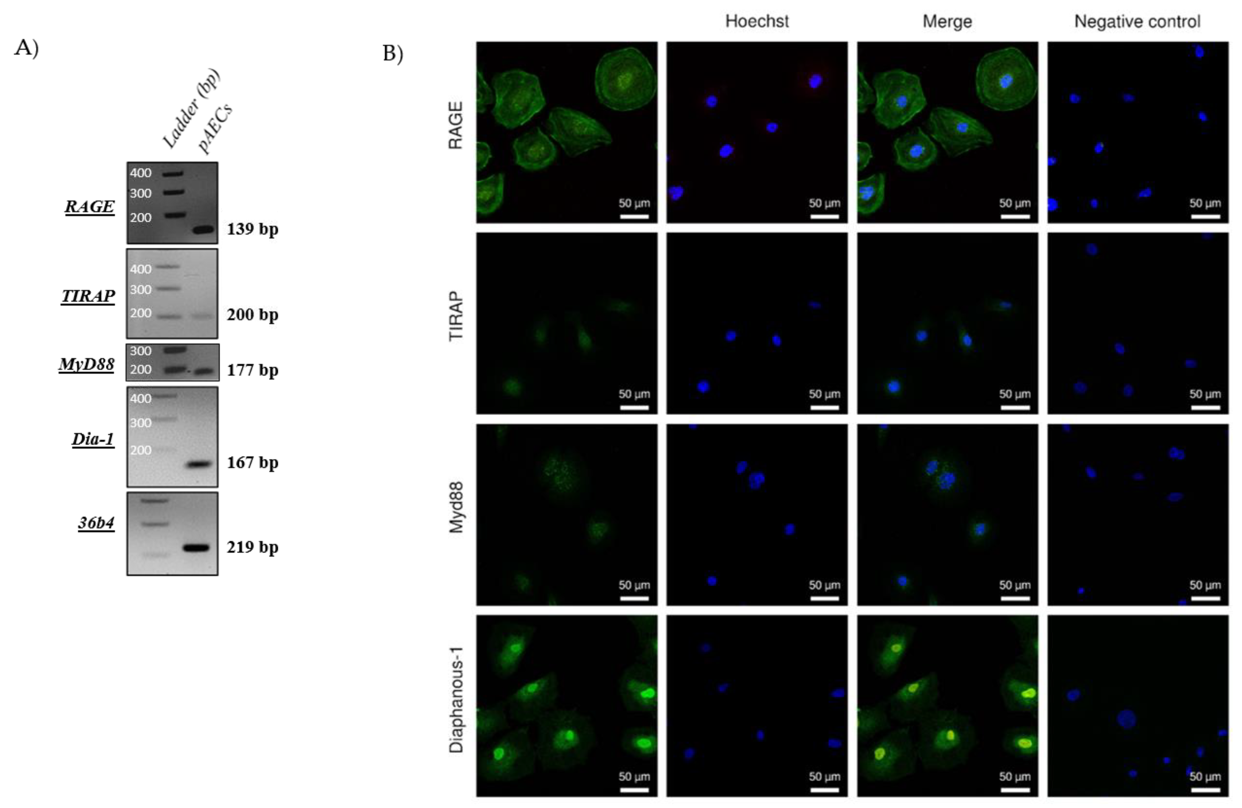 Ijms 22 08345 g002