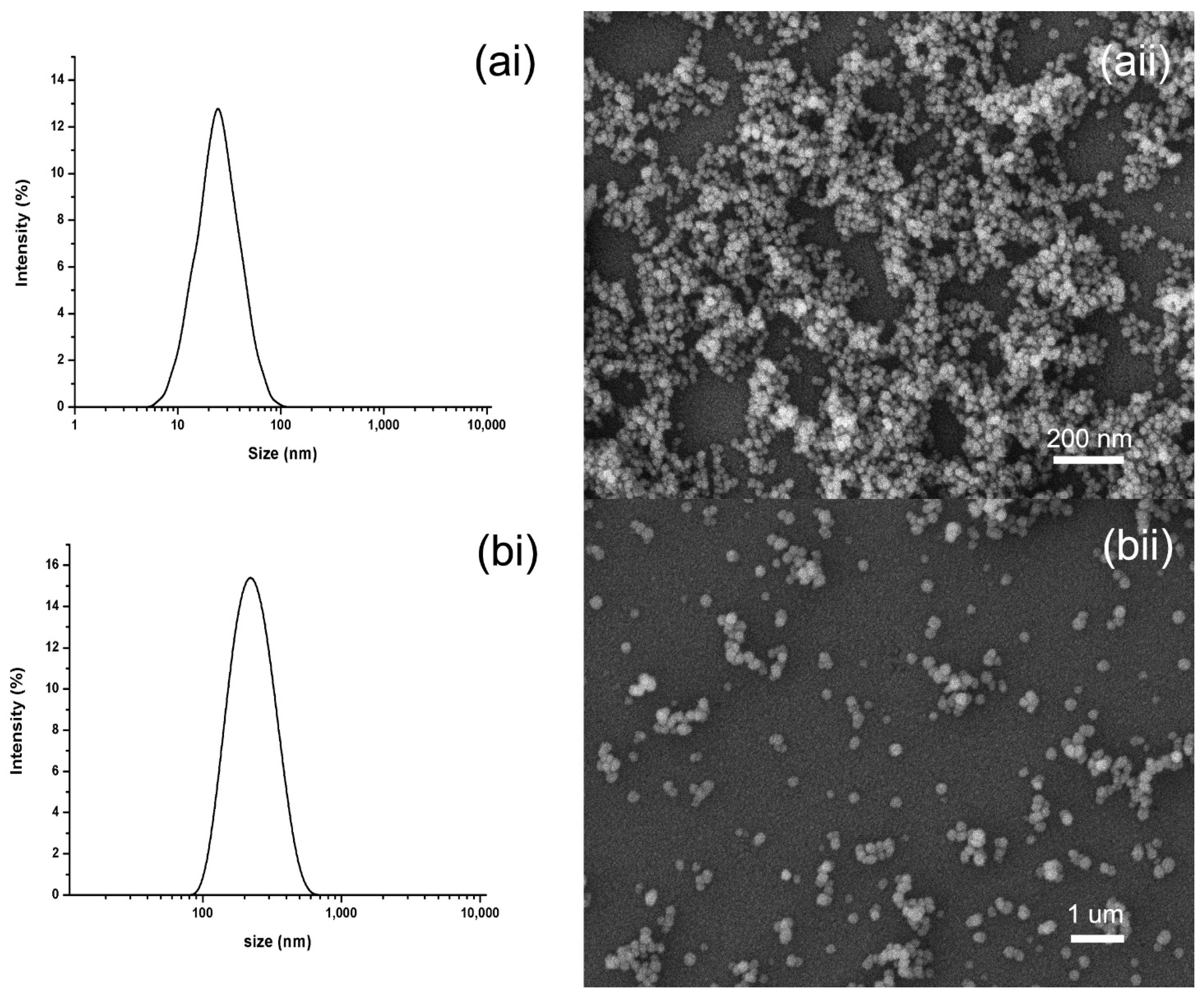 Ijms 22 08348 g006 550