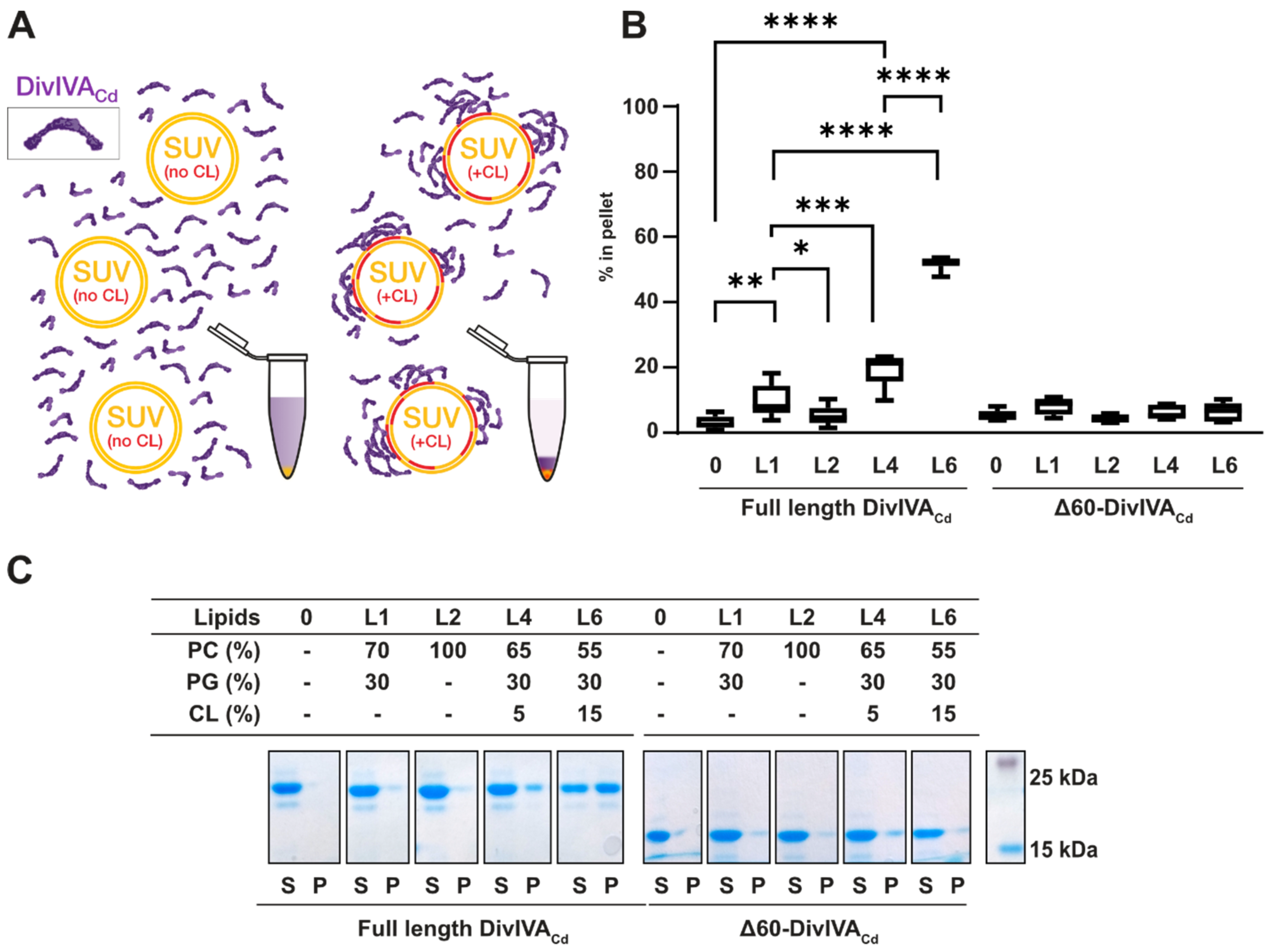 Ijms 22 08350 g001 550