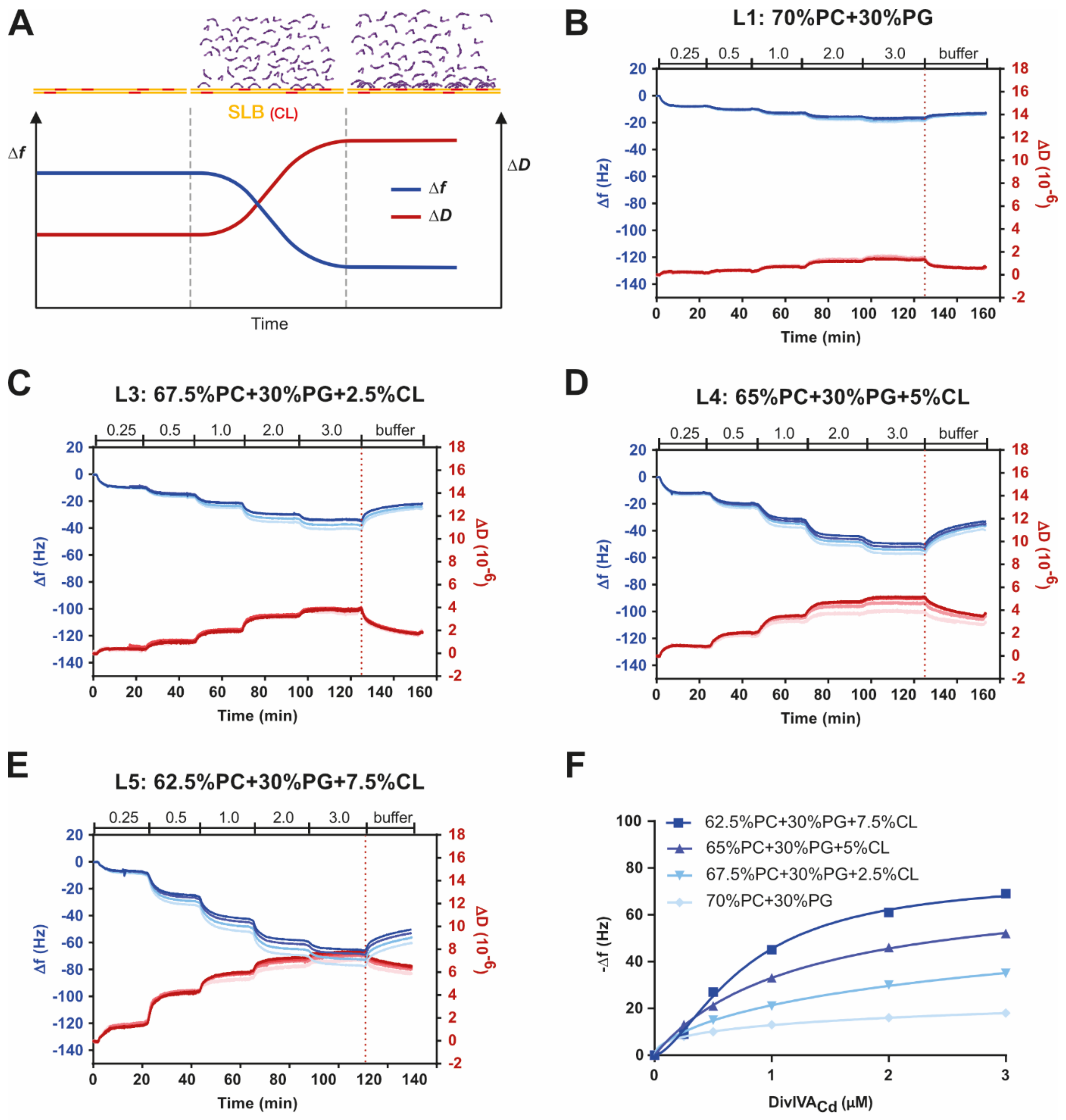 Ijms 22 08350 g002 550