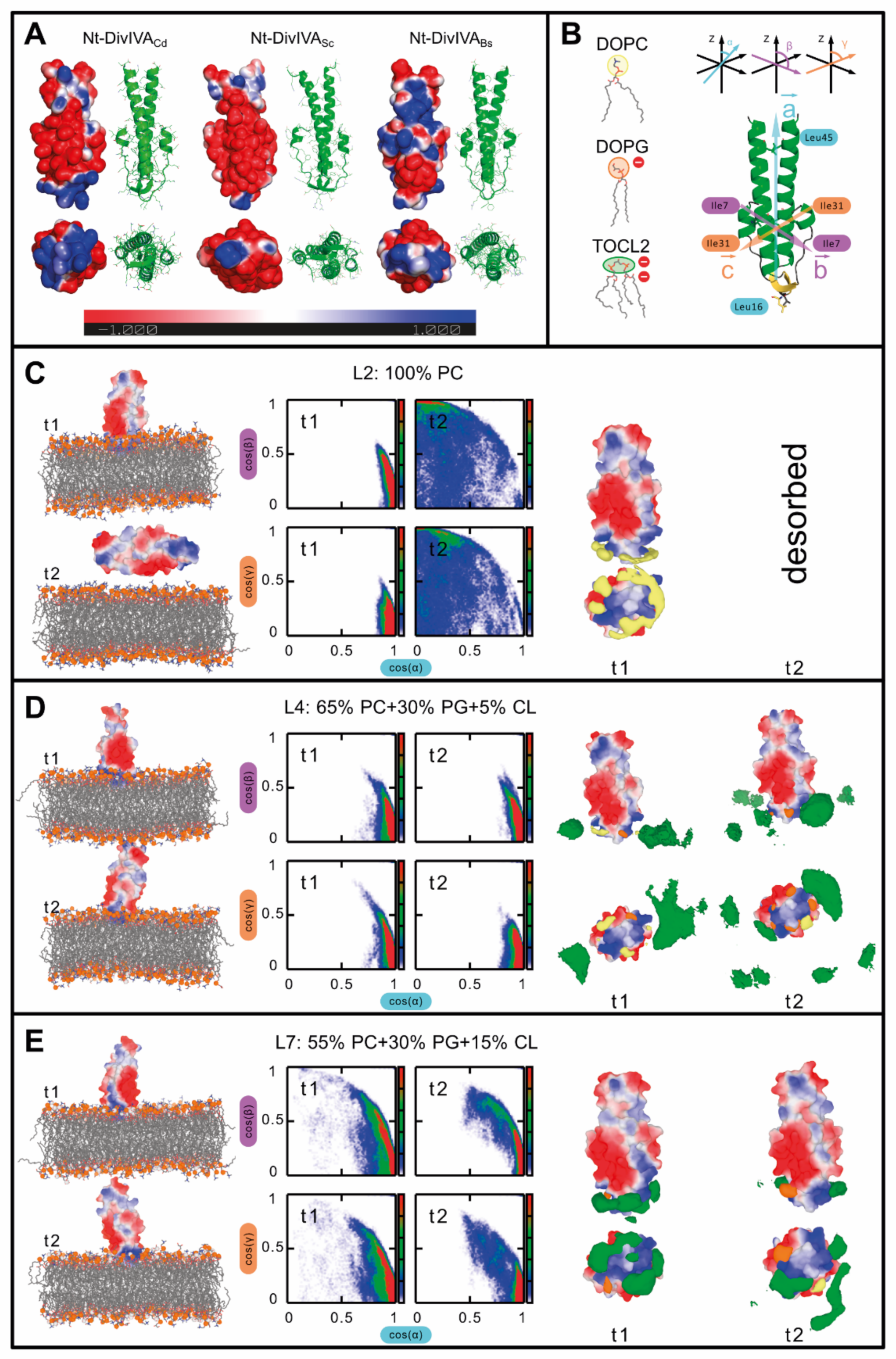 Ijms 22 08350 g005 550