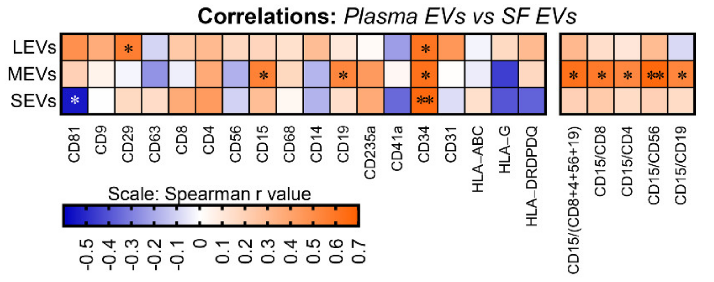 Ijms 22 08351 g003 Ijms 22 08351 g003