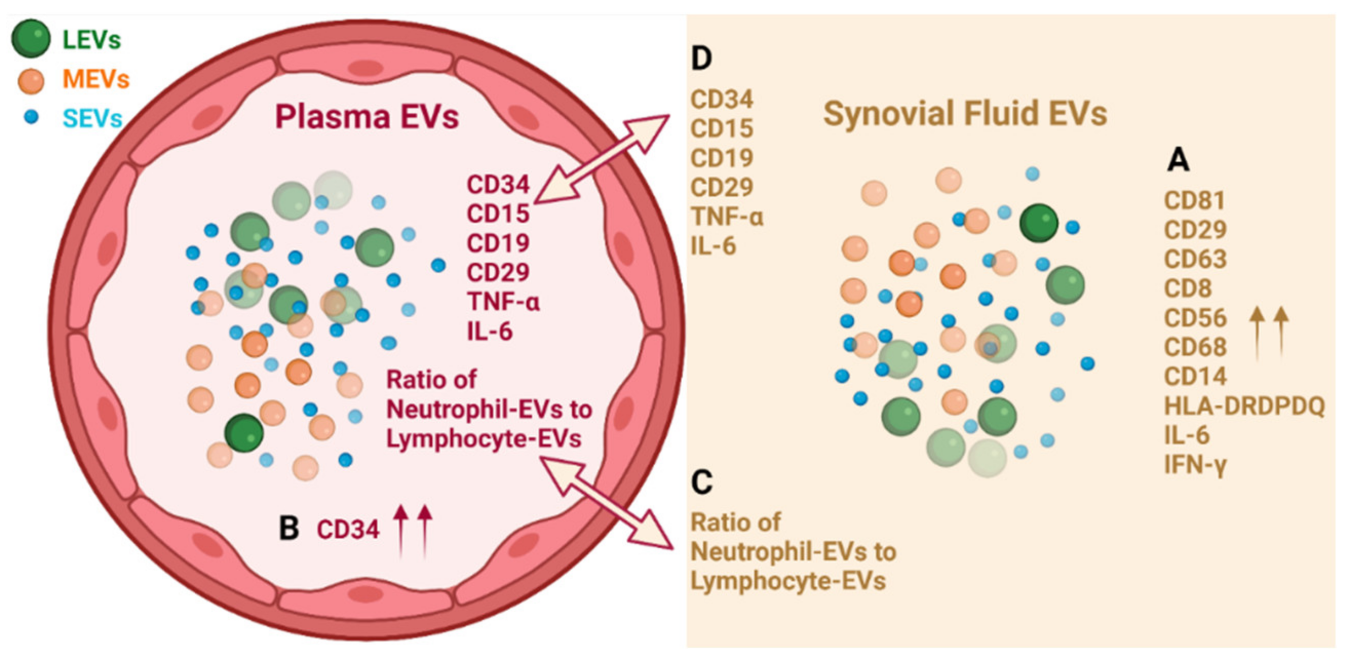 Ijms 22 08351 g005 Ijms 22 08351 g005