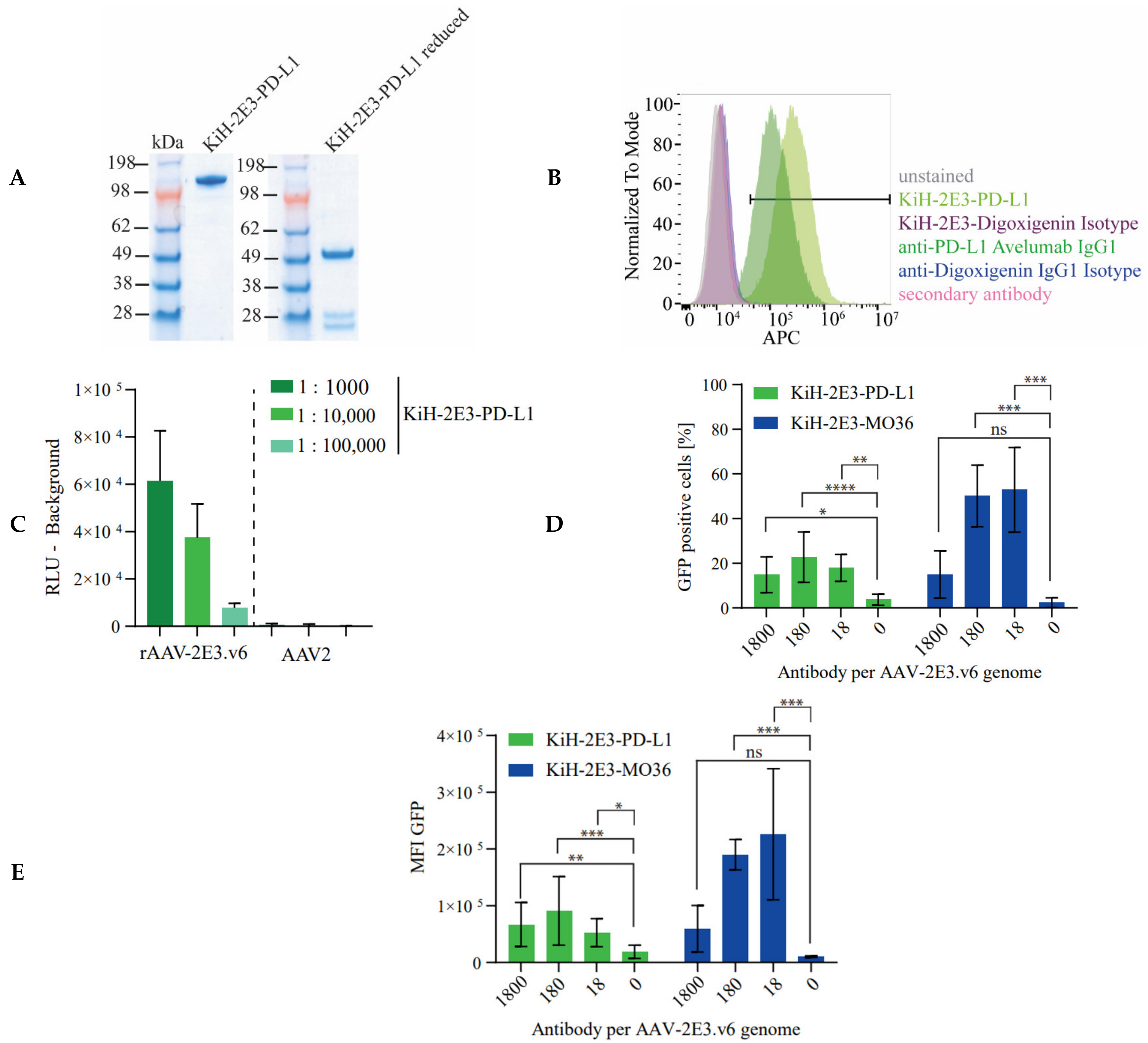 Ijms 22 08355 g007 550