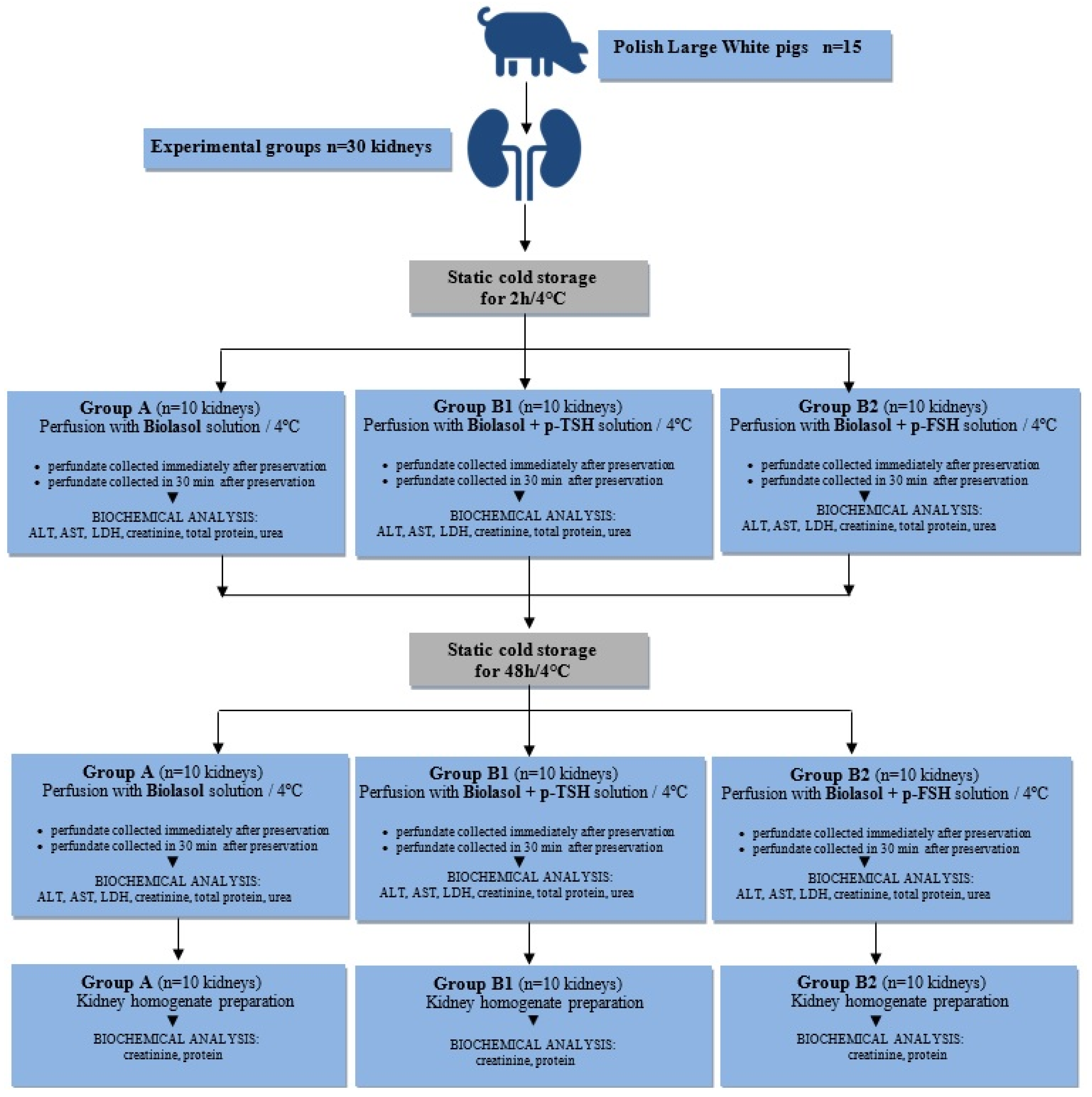 Ijms 22 08360 g008 Ijms 22 08360 g008
