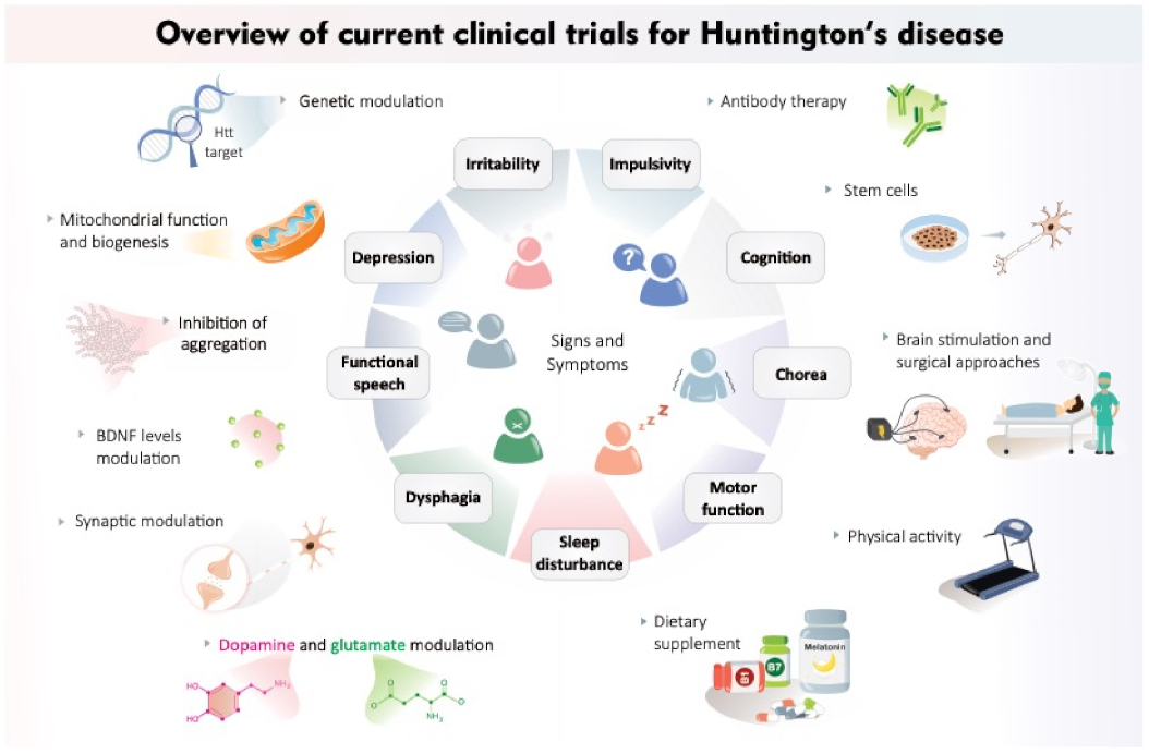 Ijms Free Full Text New Avenues For The Treatment Of Huntington S Disease Html