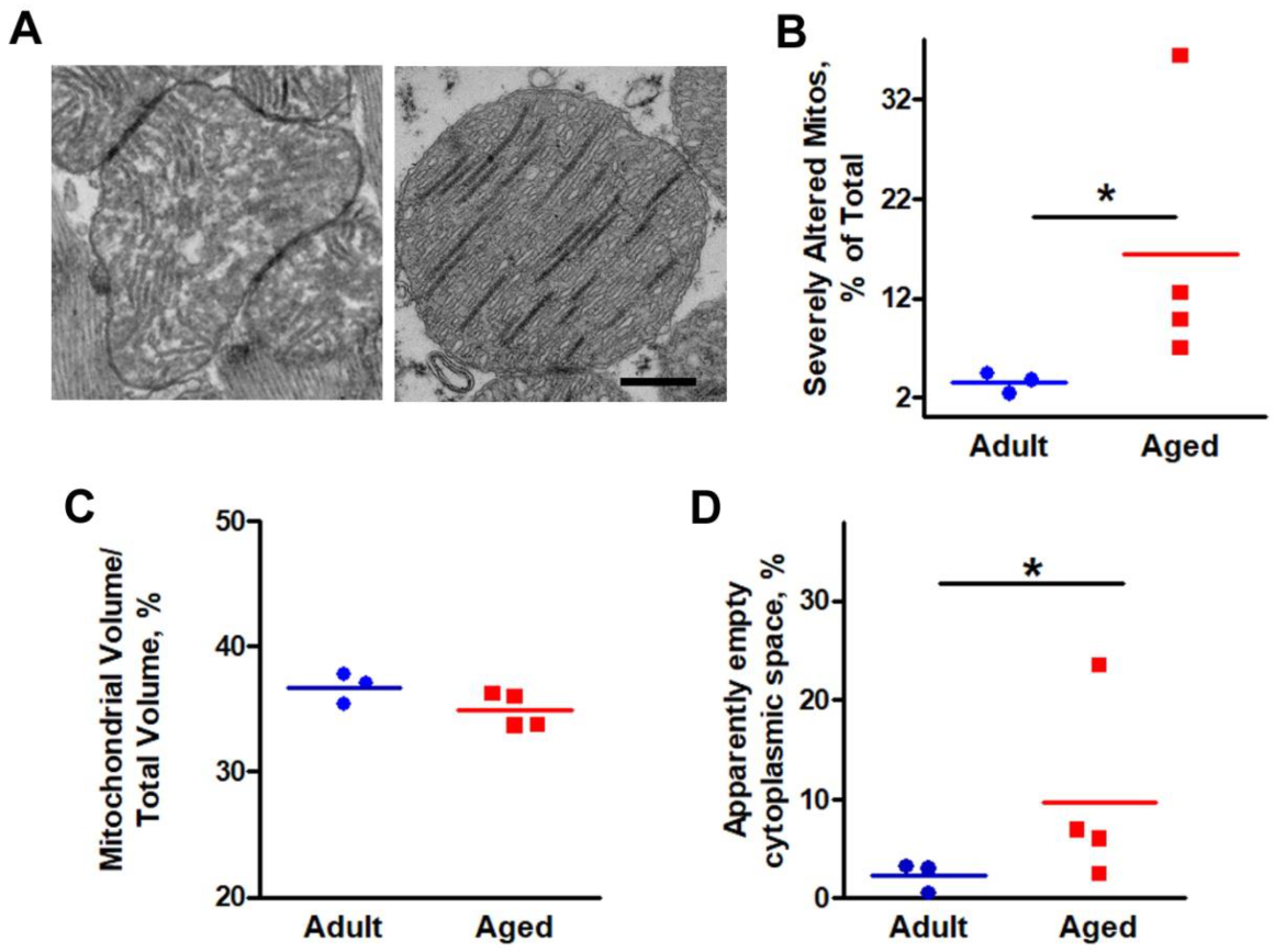 Ijms 22 08364 g003 Ijms 22 08364 g003