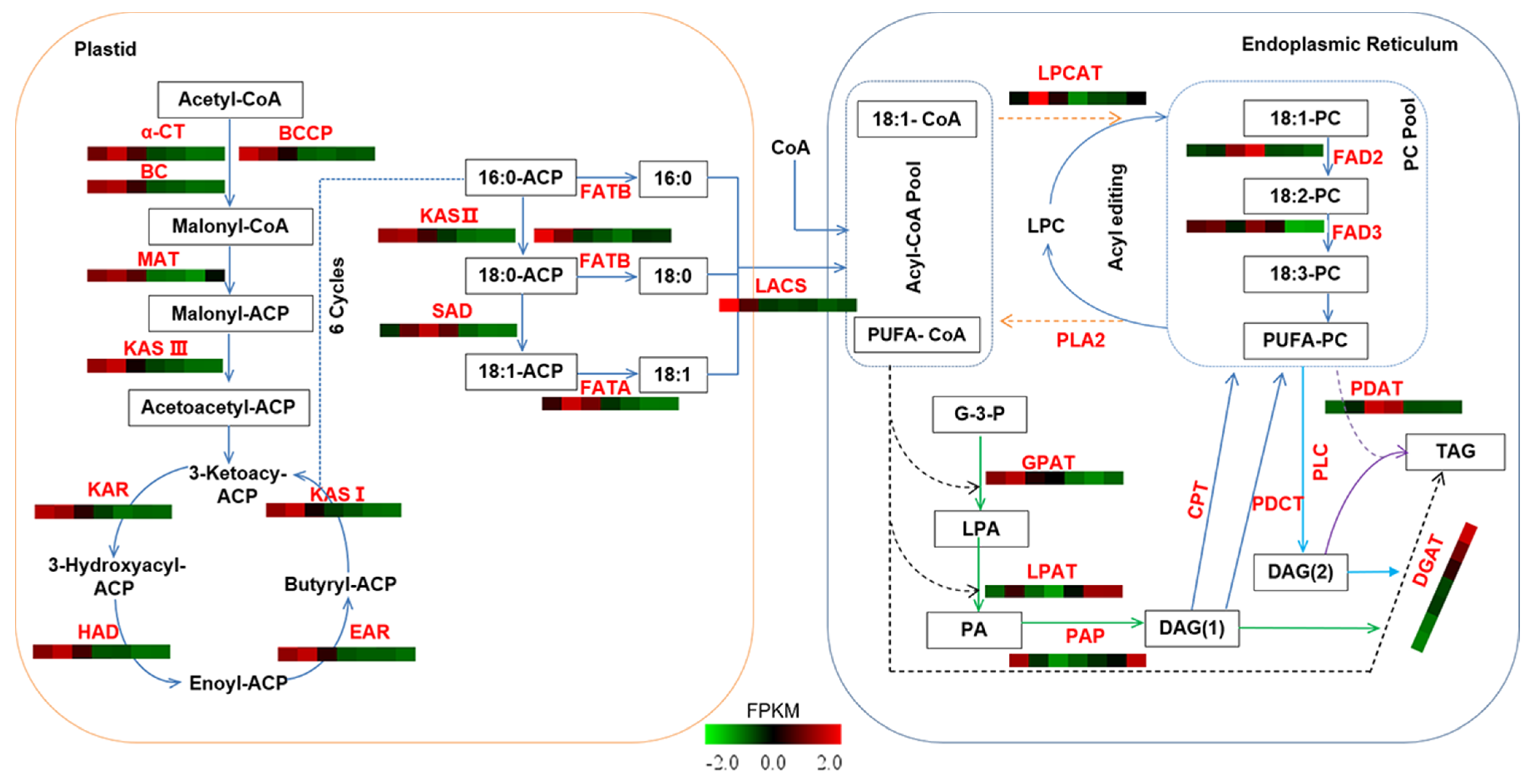 Ijms 22 08369 g003 550