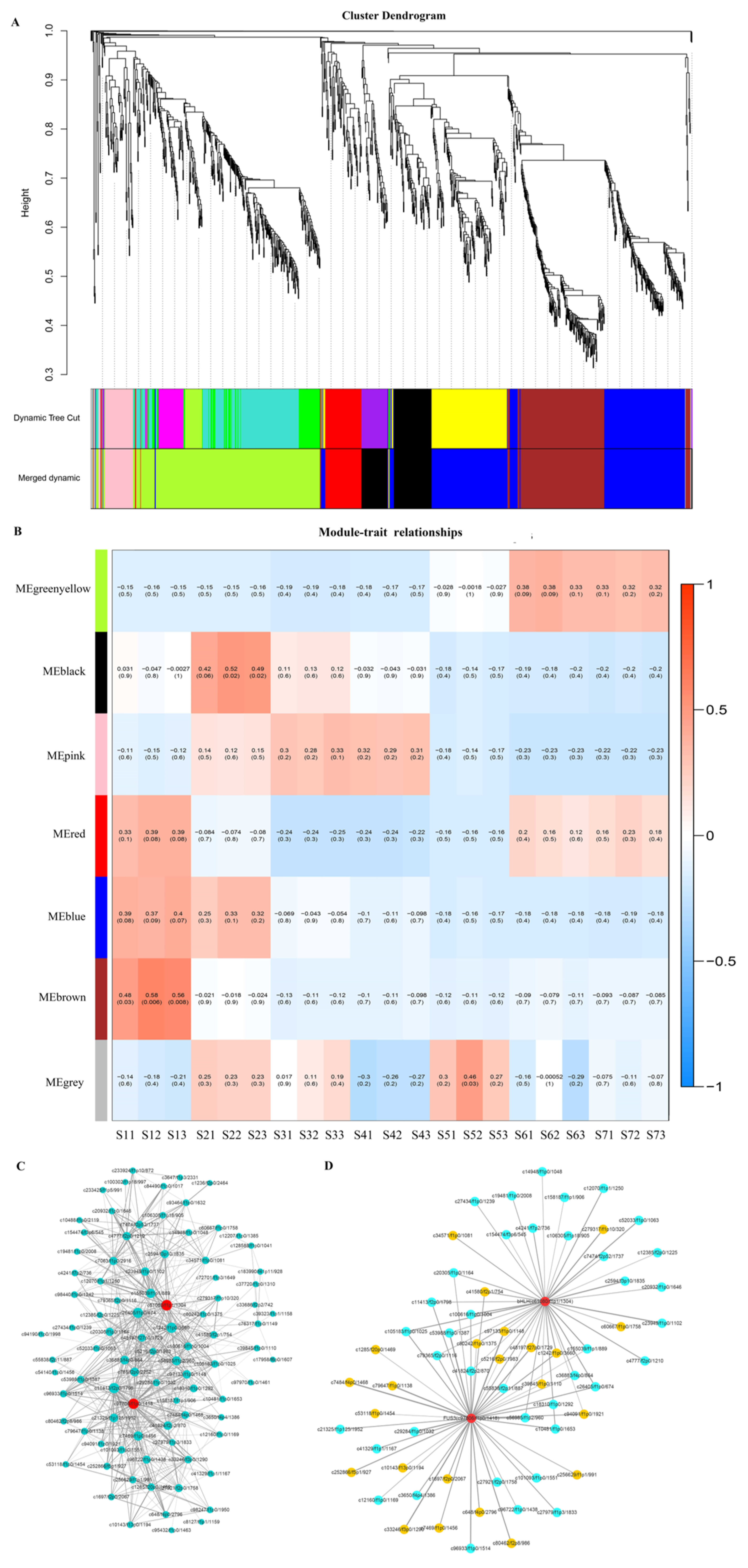 Ijms 22 08369 g007 550