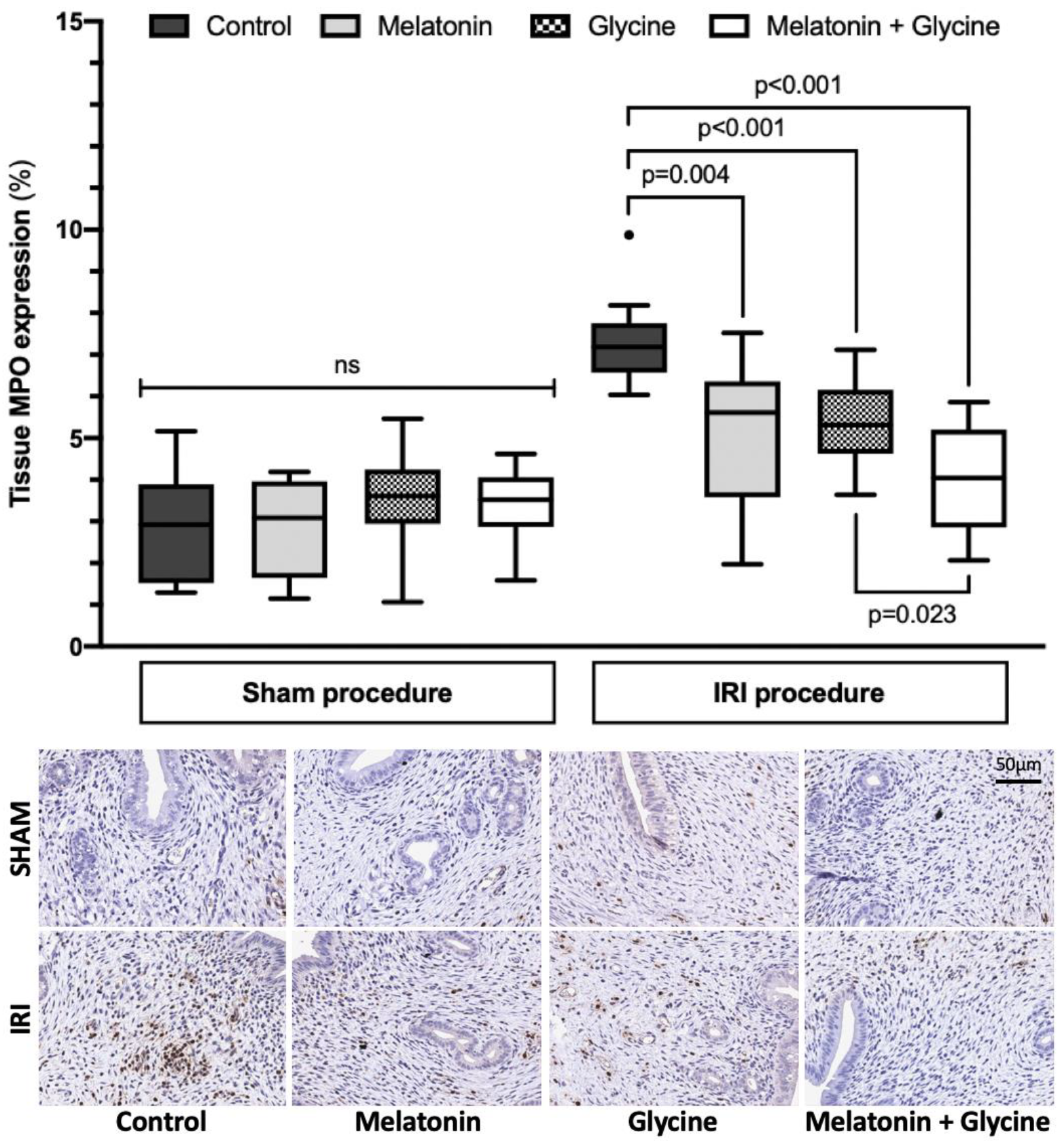Ijms 22 08373 g003 Ijms 22 08373 g003