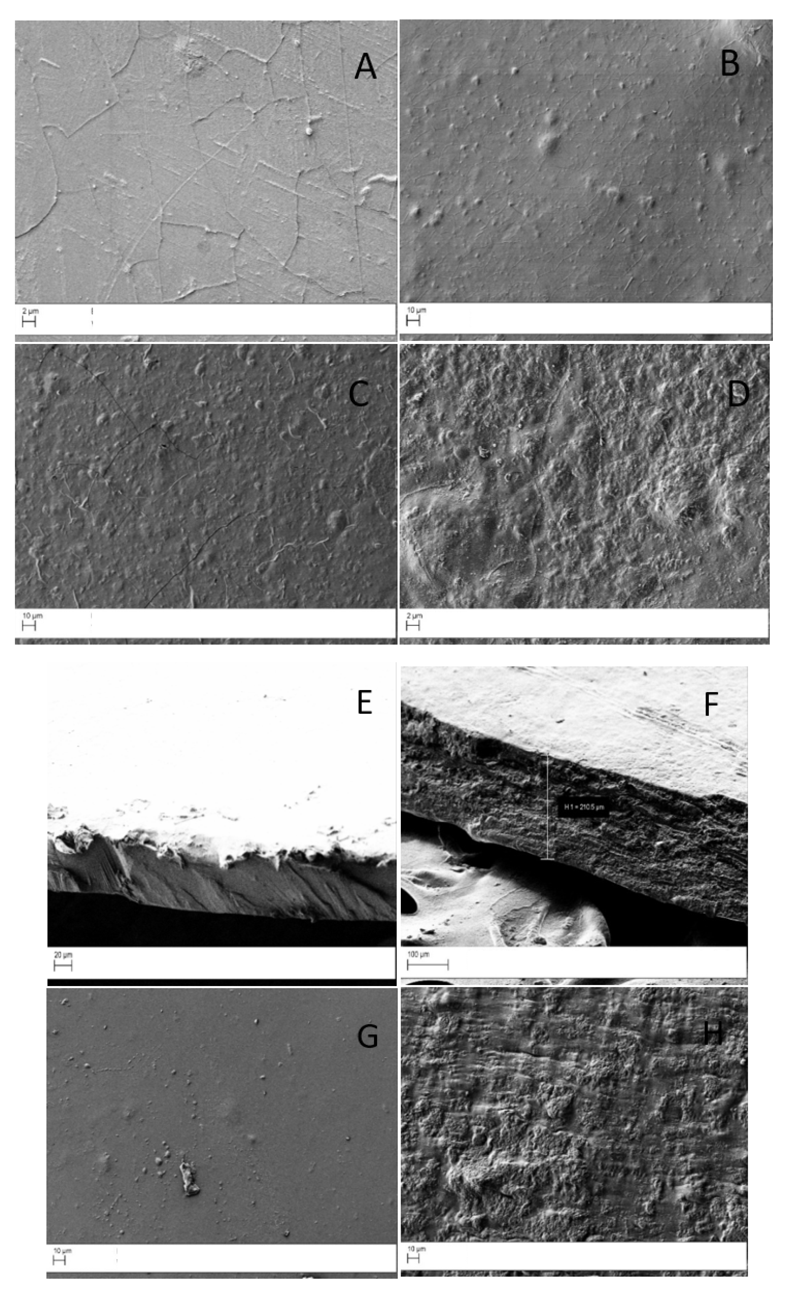 Ijms 22 08374 g002 550