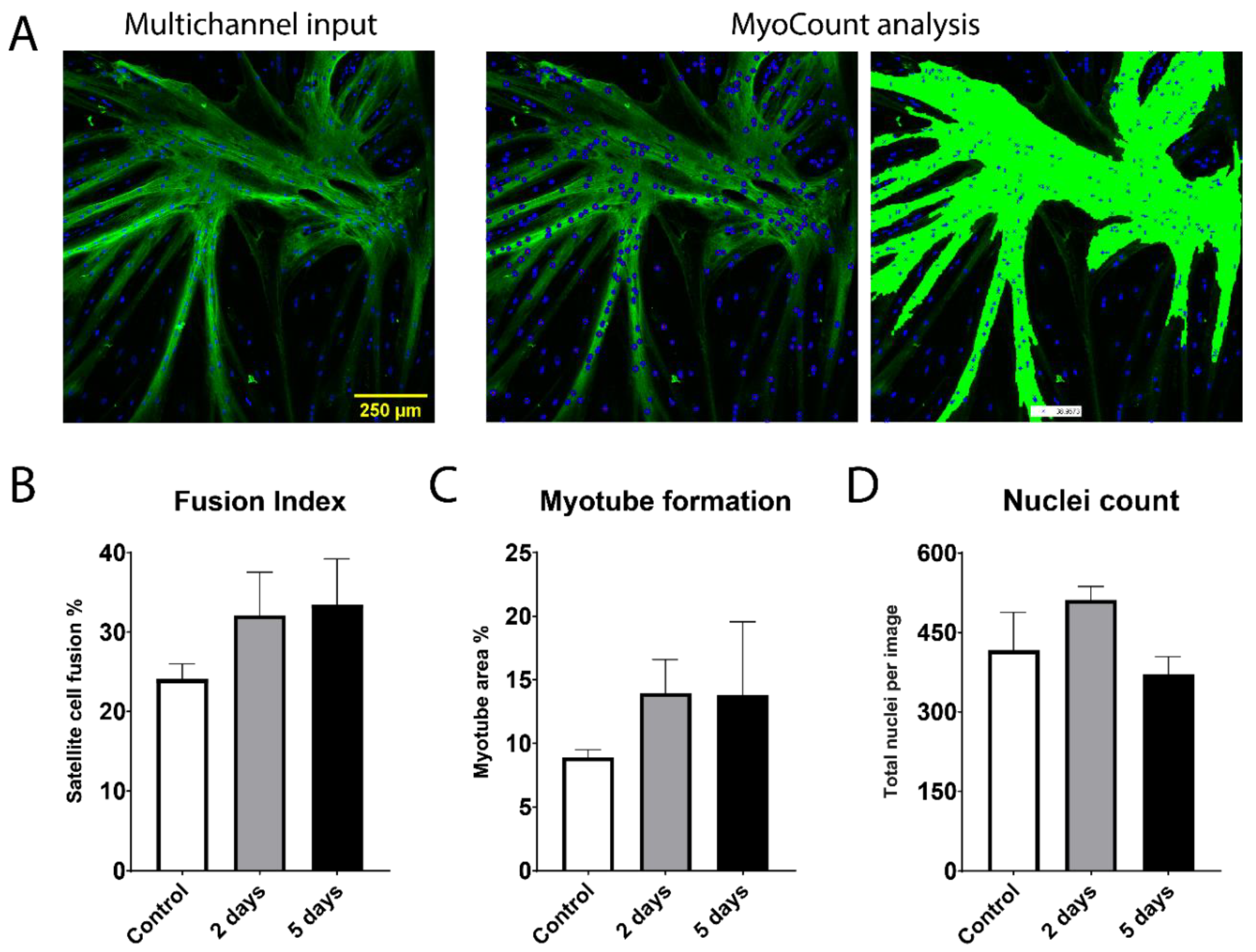 Ijms 22 08376 g003 550