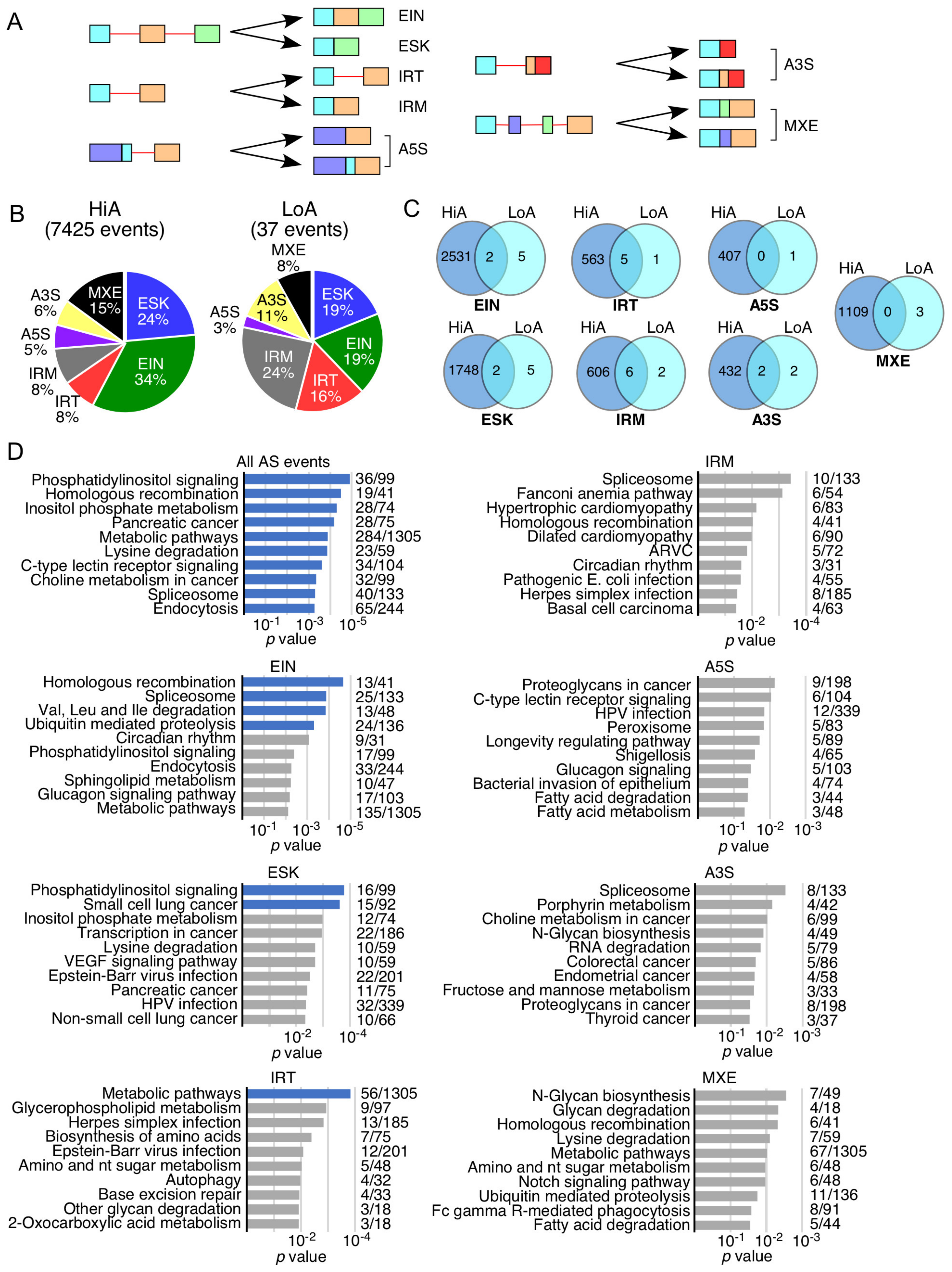 Ijms 22 08378 g002 Ijms 22 08378 g002
