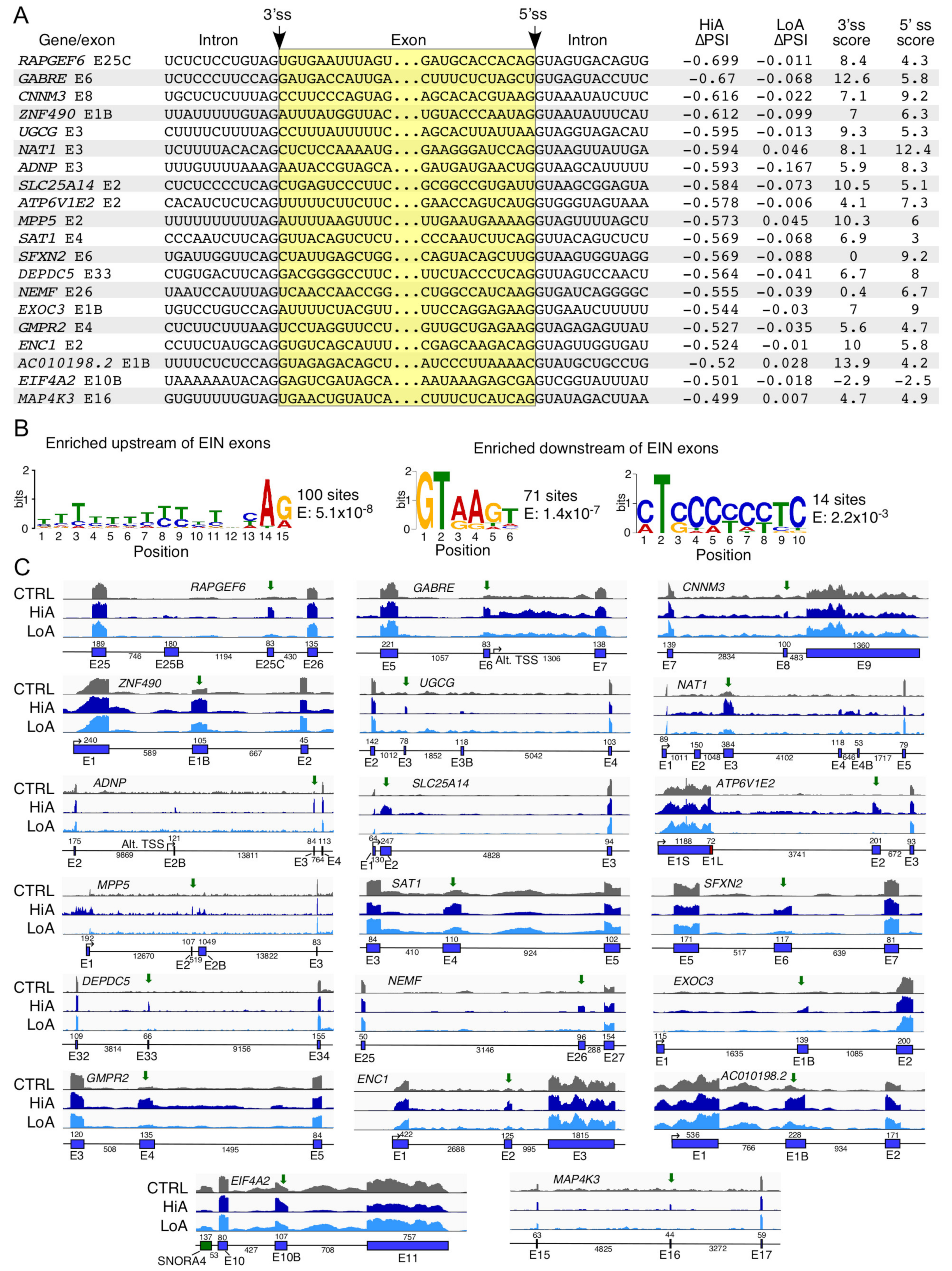 Ijms 22 08378 g003 Ijms 22 08378 g003