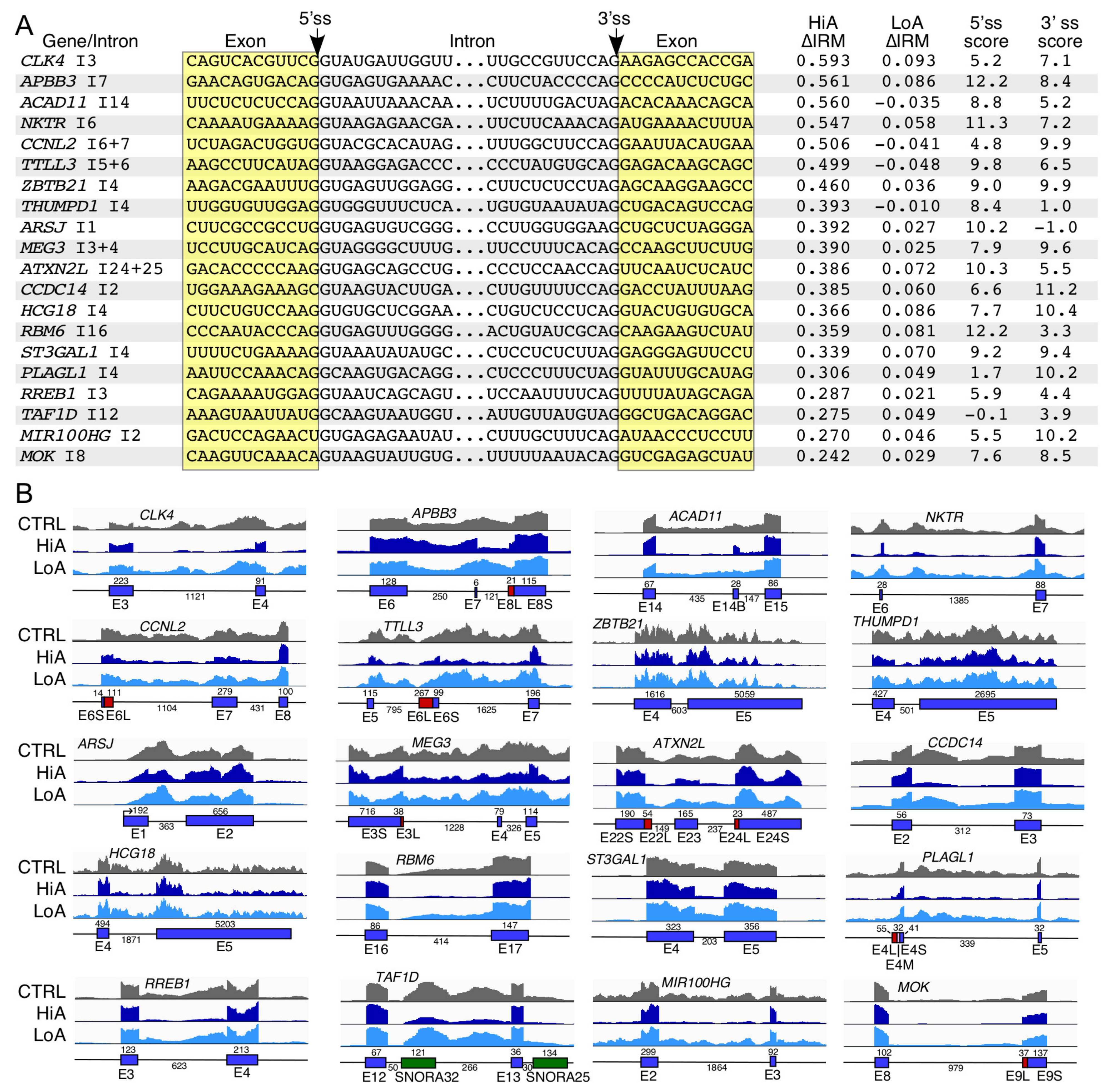 Ijms 22 08378 g006 Ijms 22 08378 g006