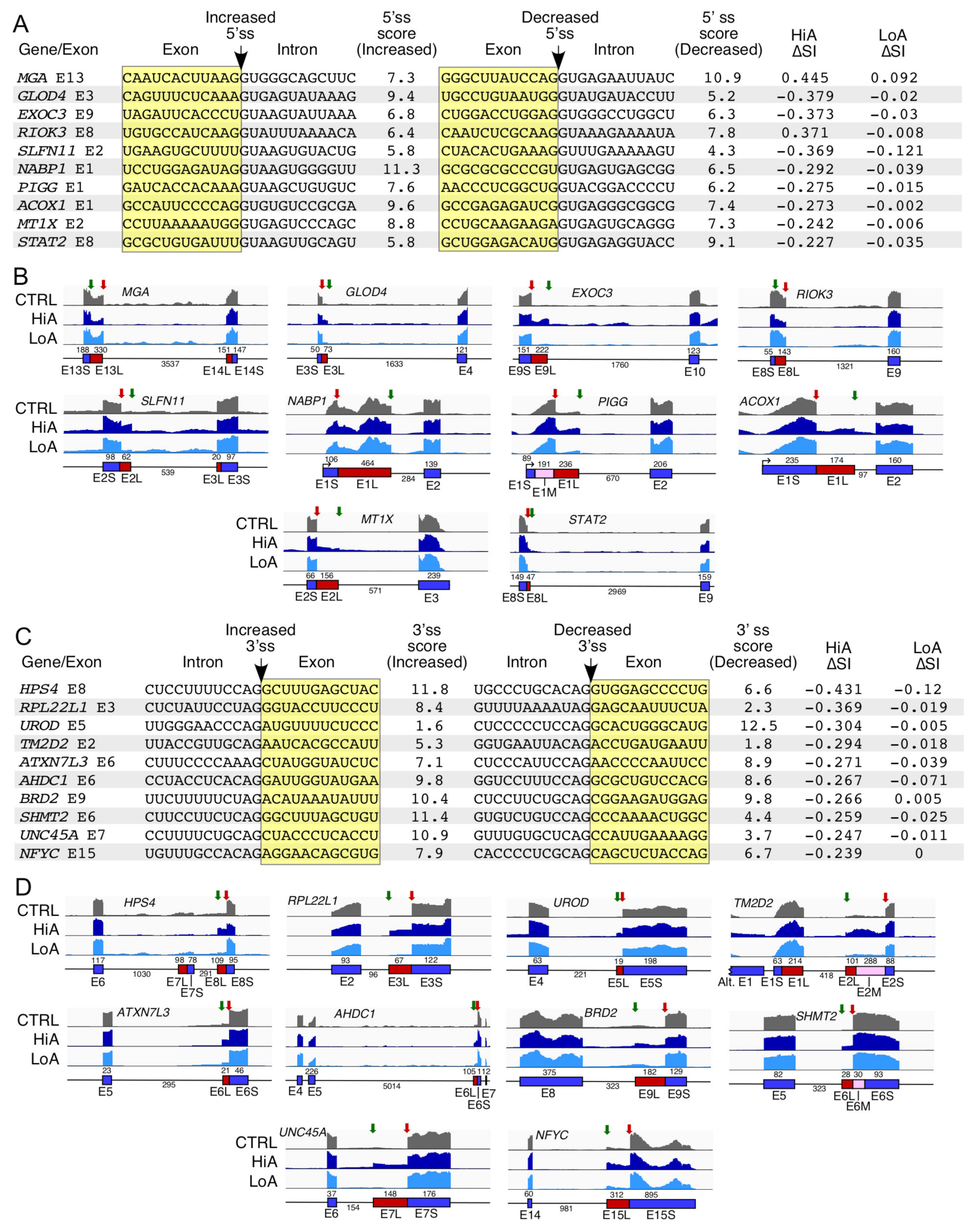 Ijms 22 08378 g007 Ijms 22 08378 g007