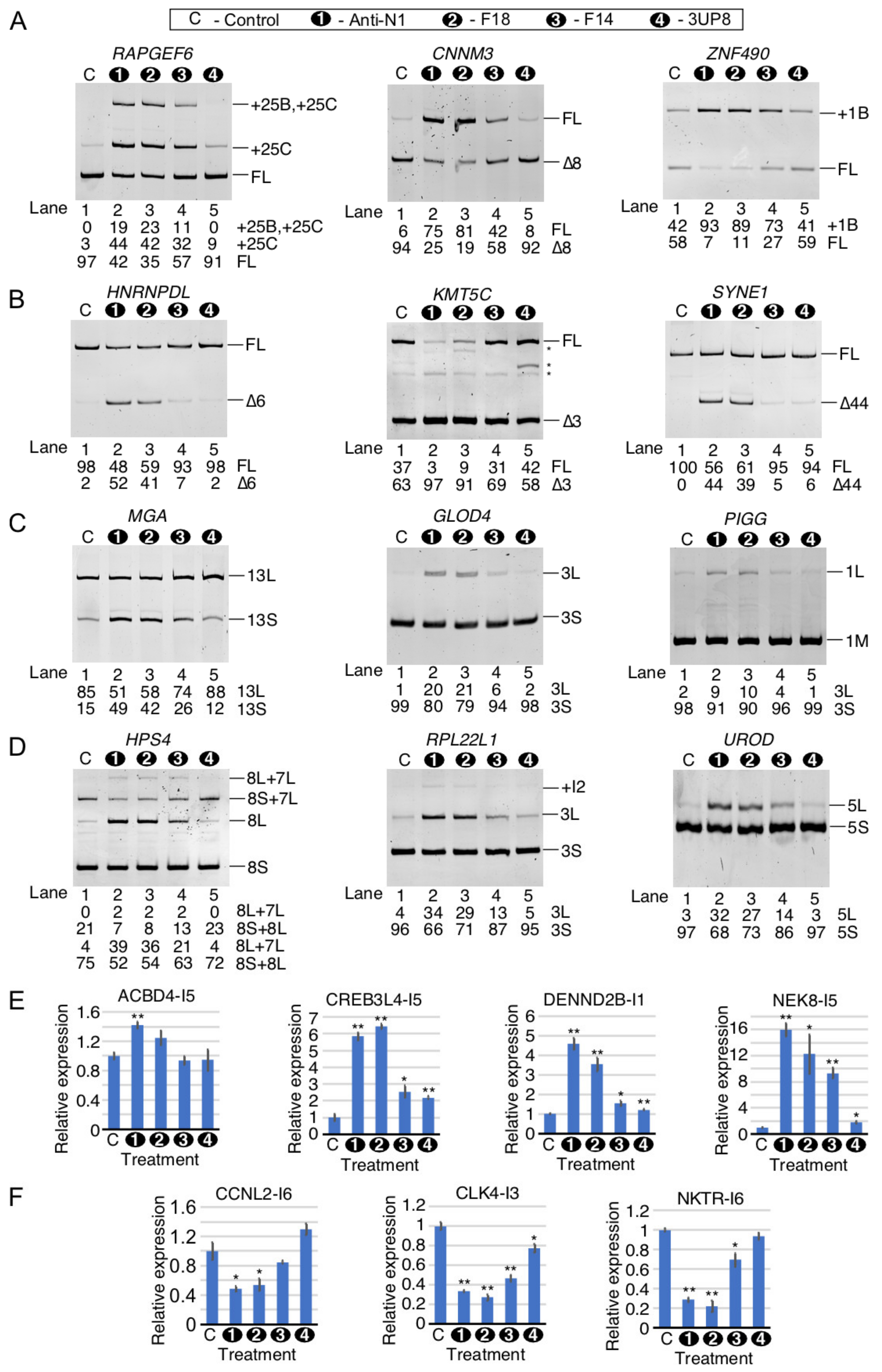 Ijms 22 08378 g009 Ijms 22 08378 g009