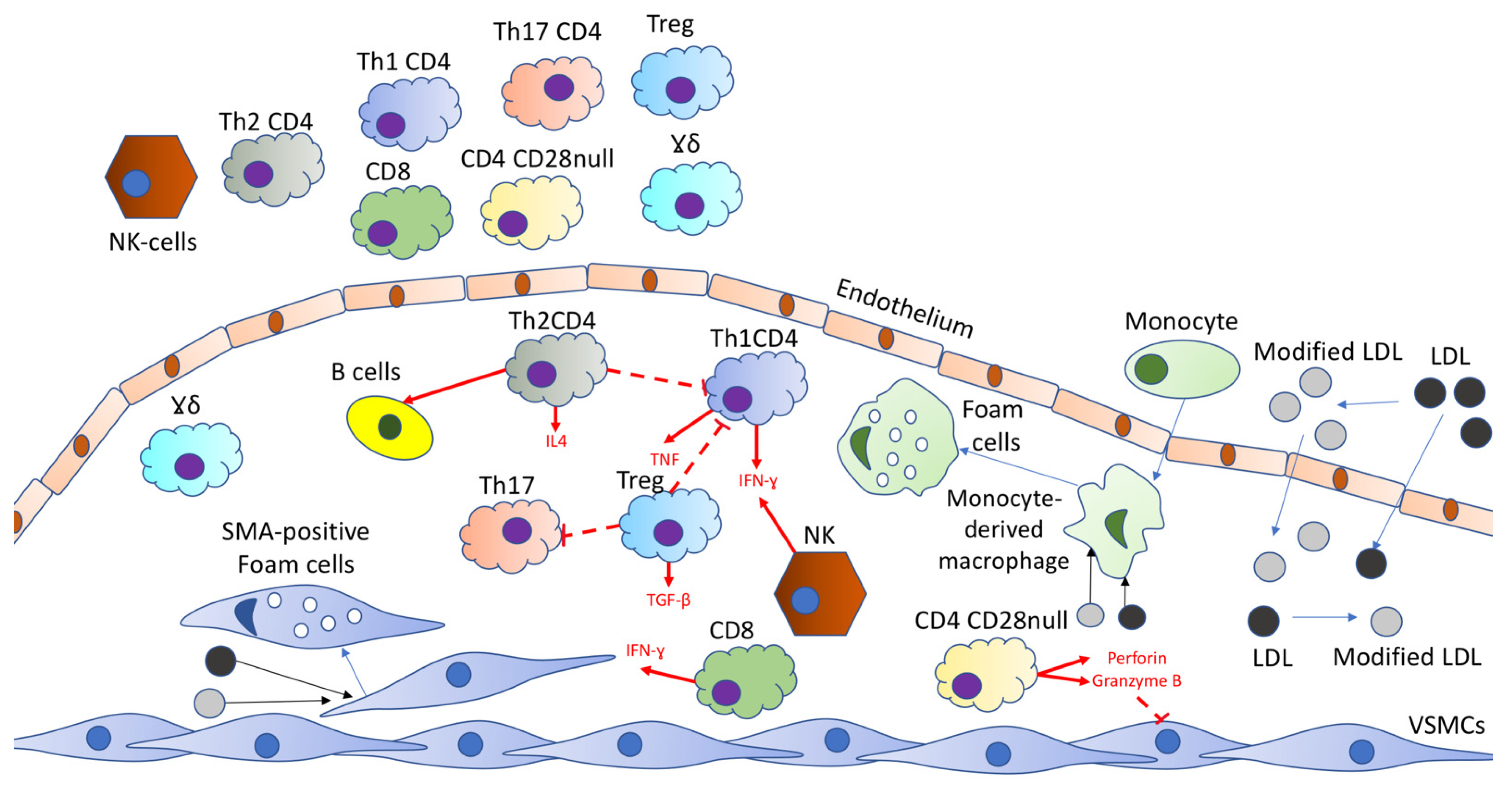 Ijms 22 08379 g001 550