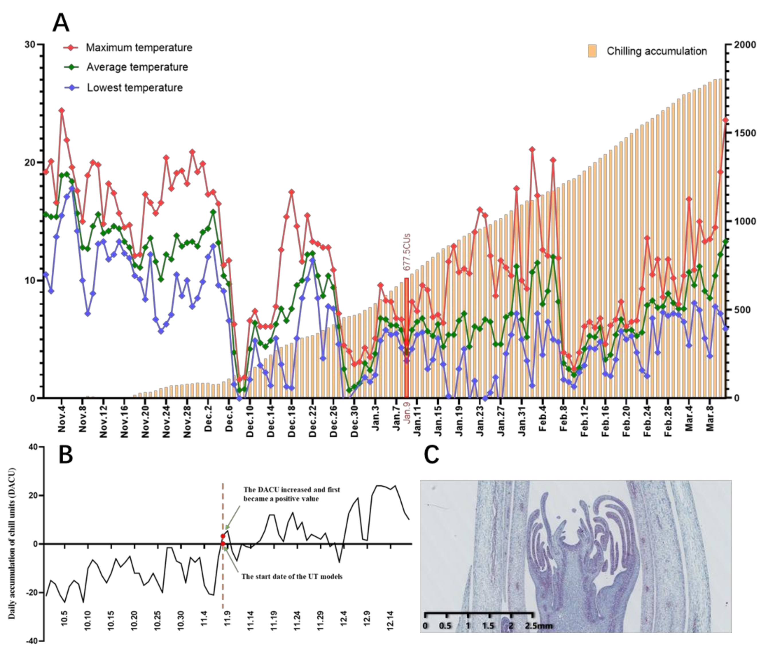 Ijms 22 08382 g002 550
